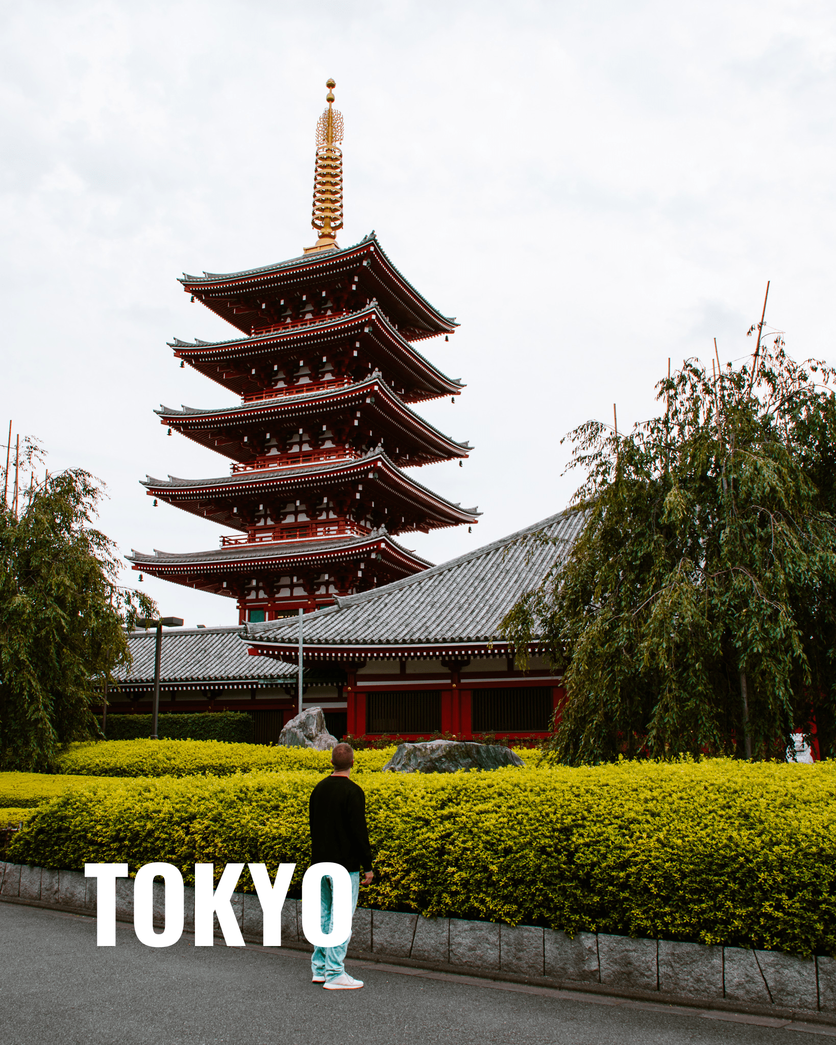 Top Things to Do in Tokyo, Japan fushimi inari