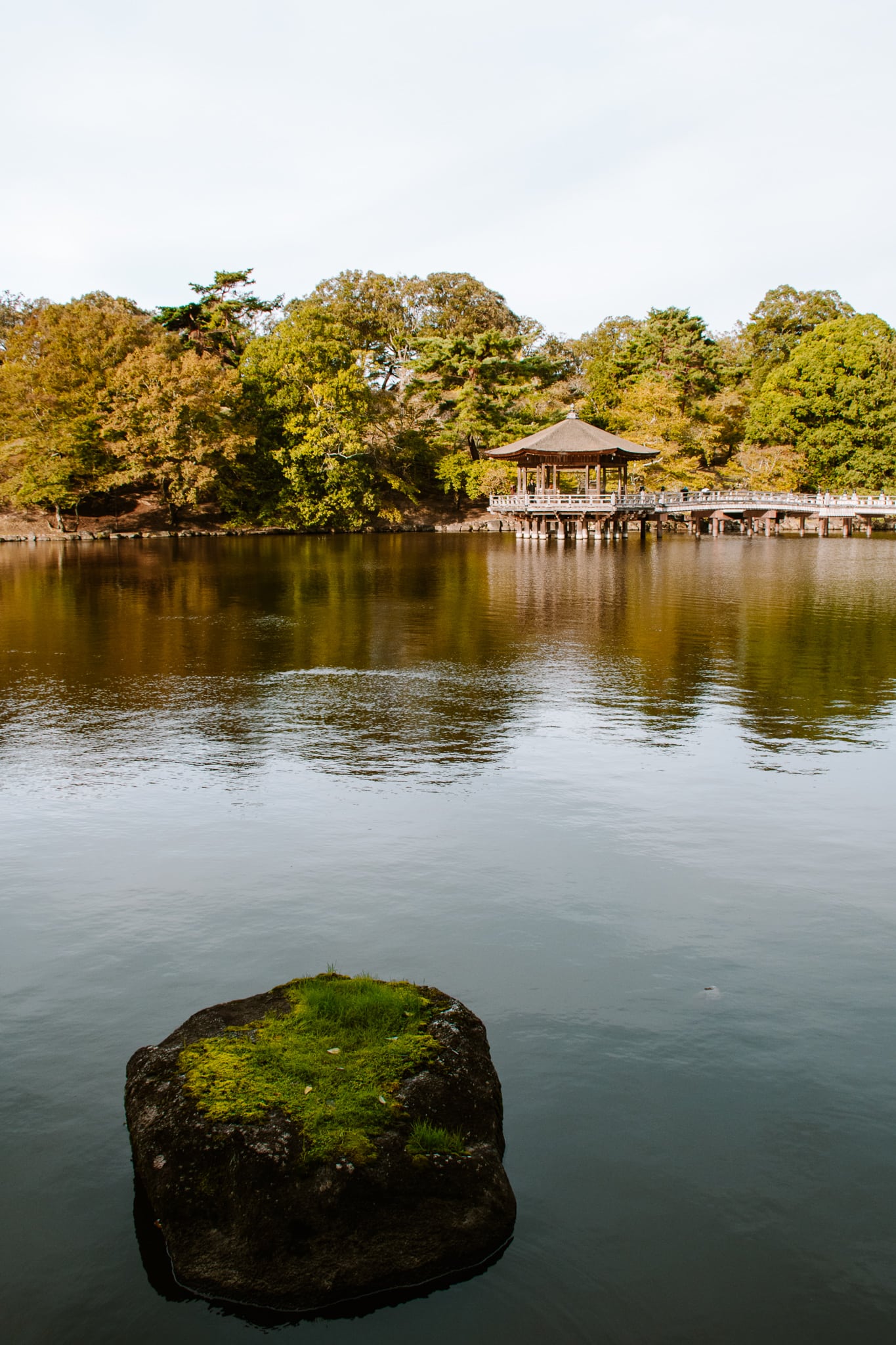 nara park kyoto japan