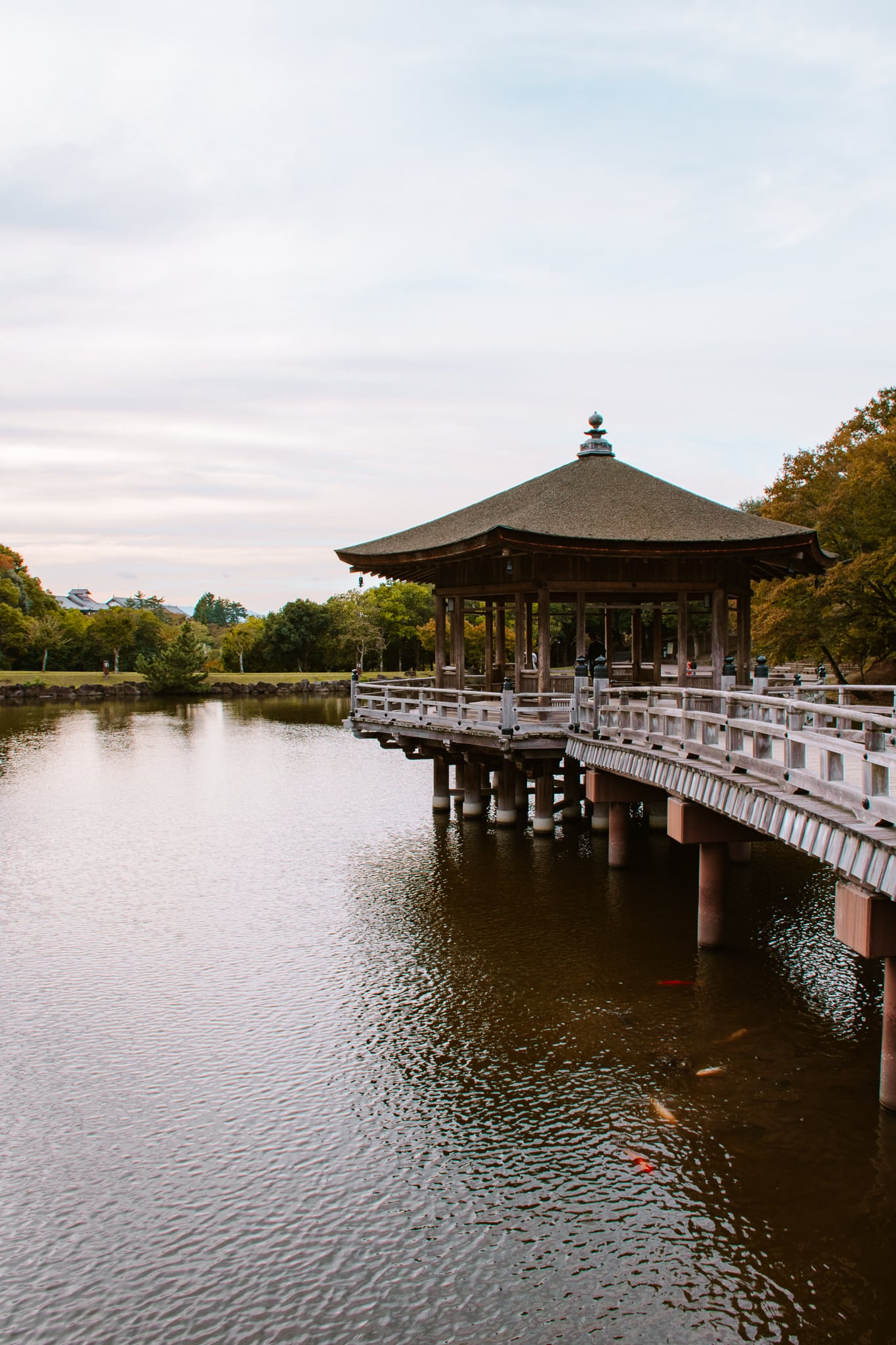 nara park kyoto japan