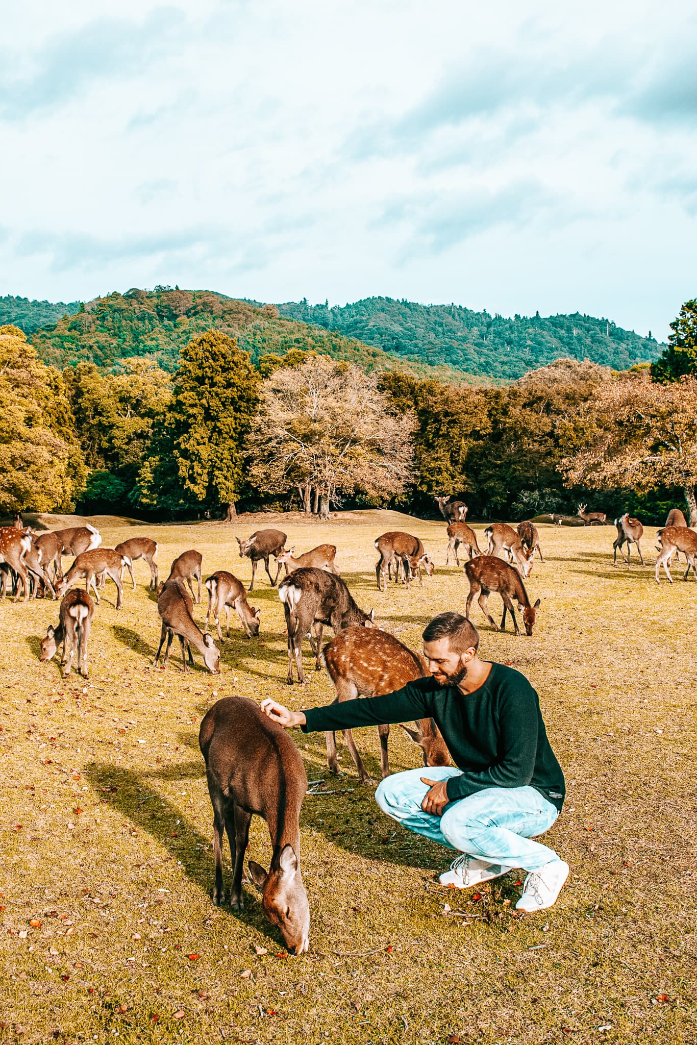 nara park kyoto japan