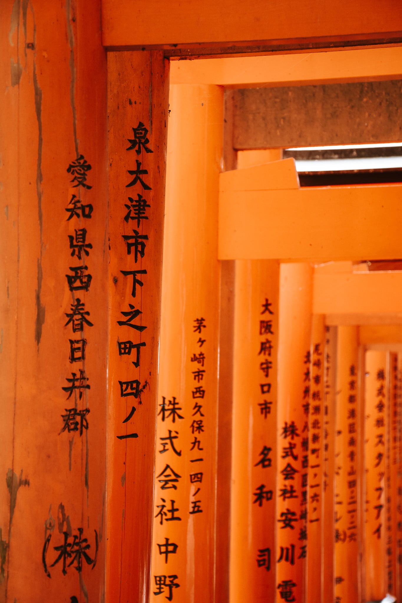 fushimi inari kyoto japan