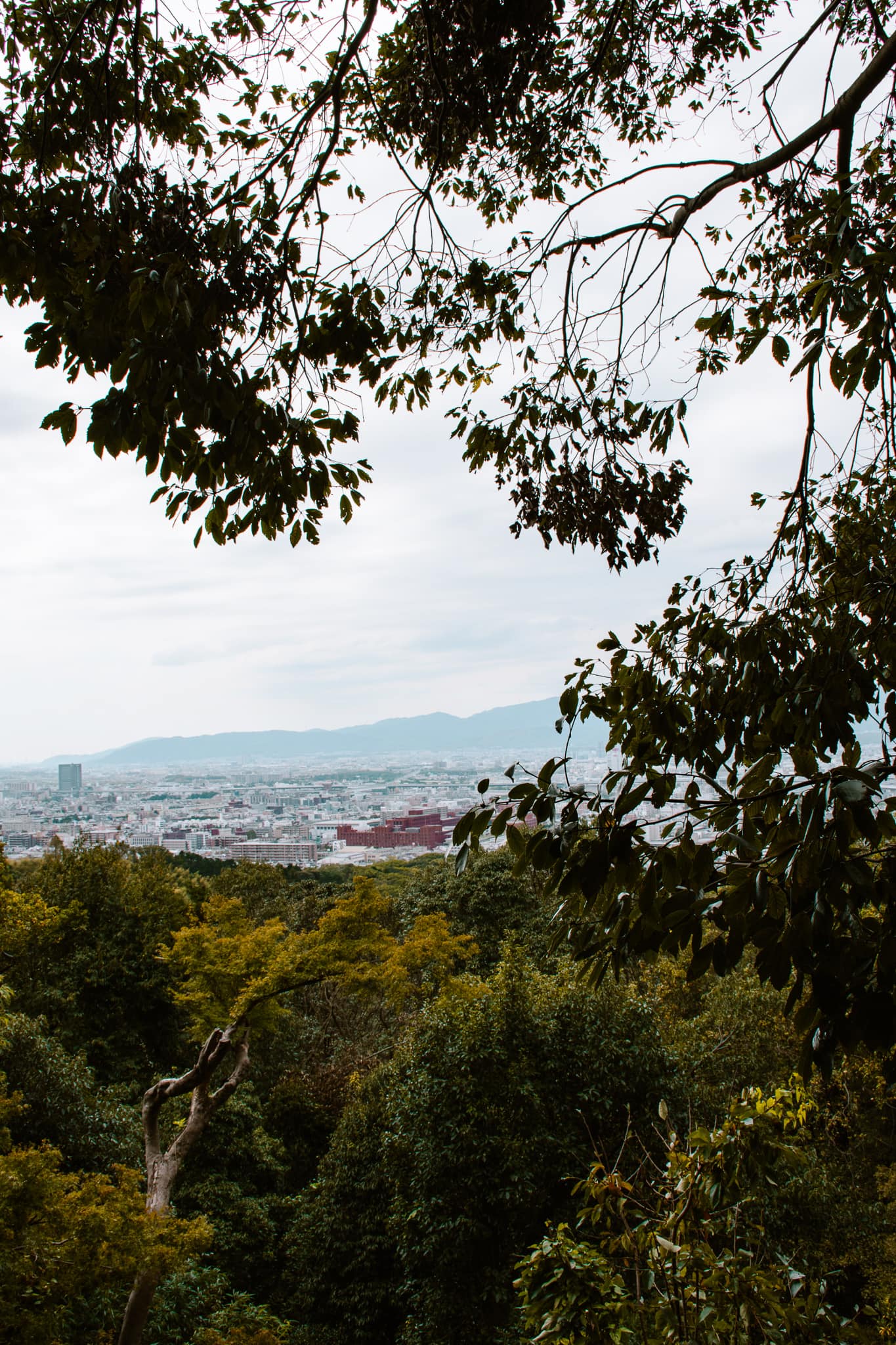 fushimi inari kyoto japan