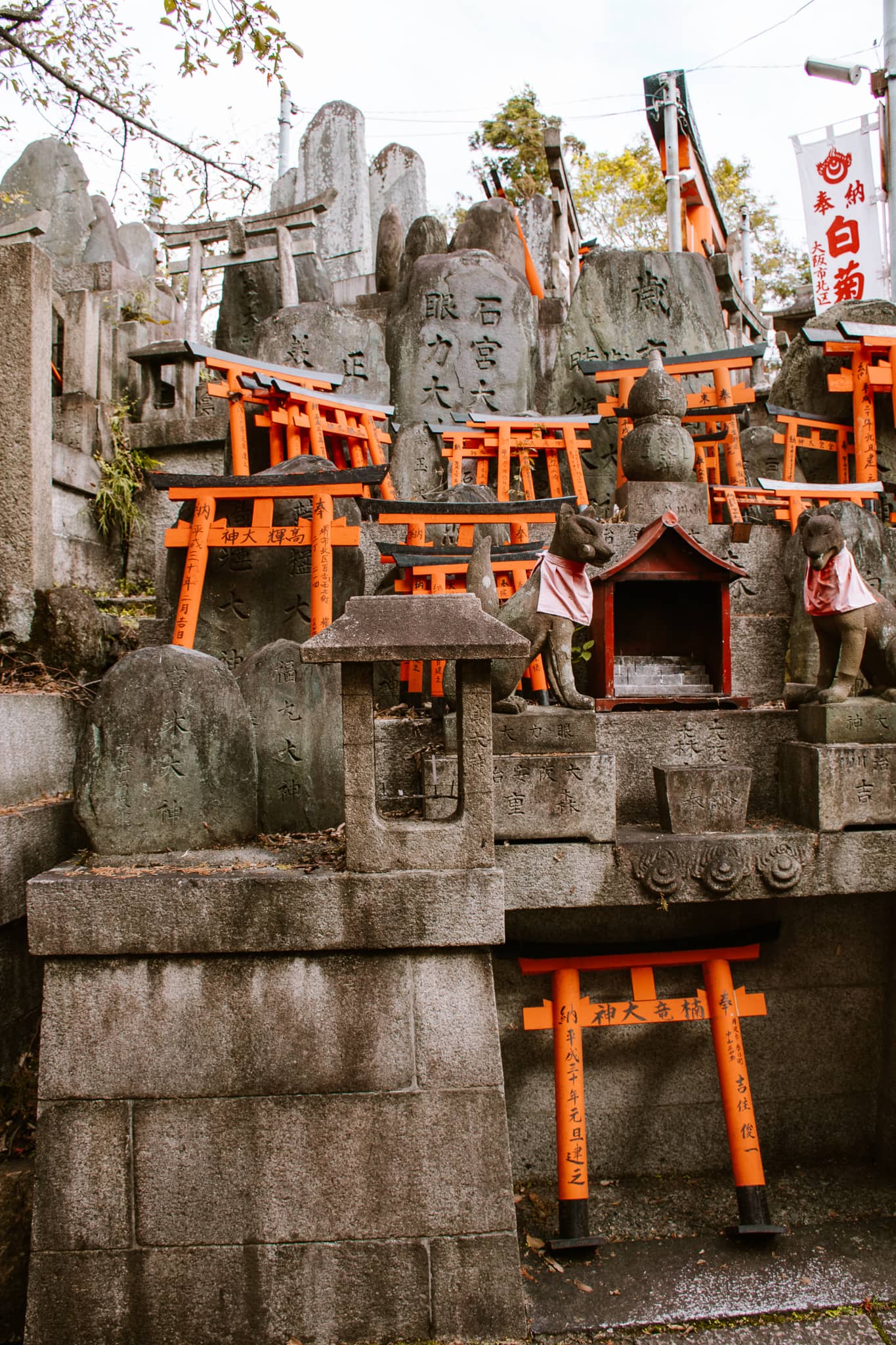 fushimi inari kyoto japan