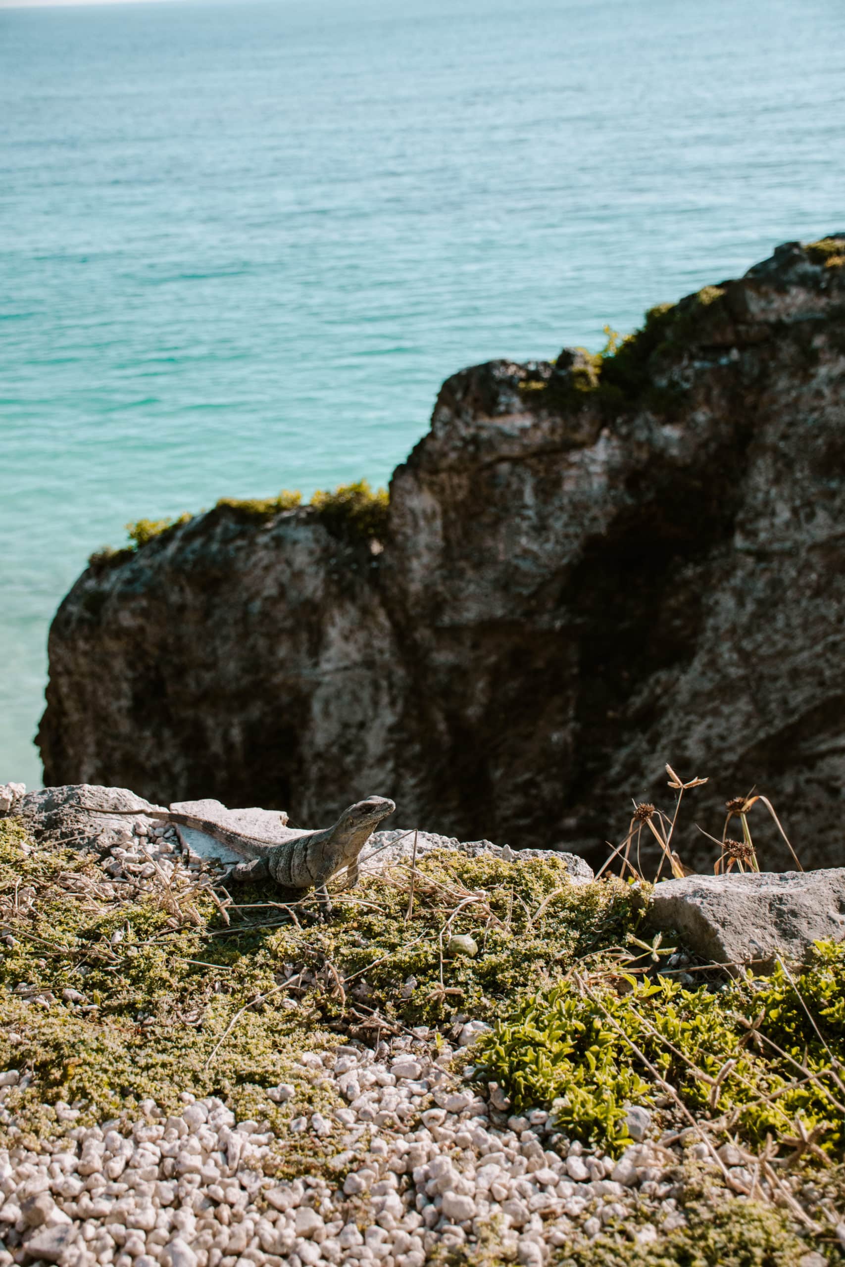 tulum mexico