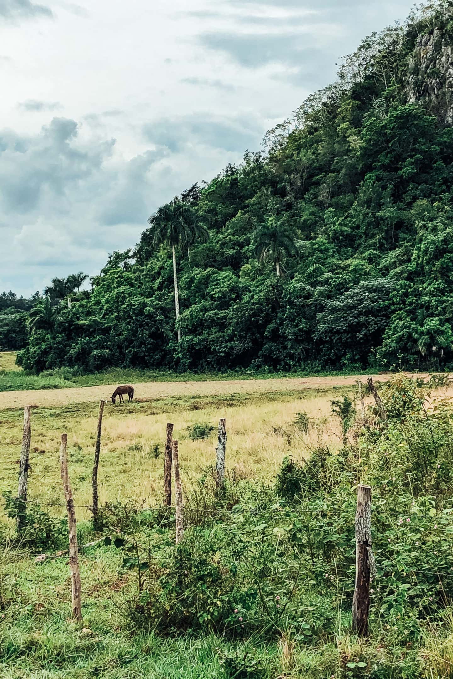 vinales cuba