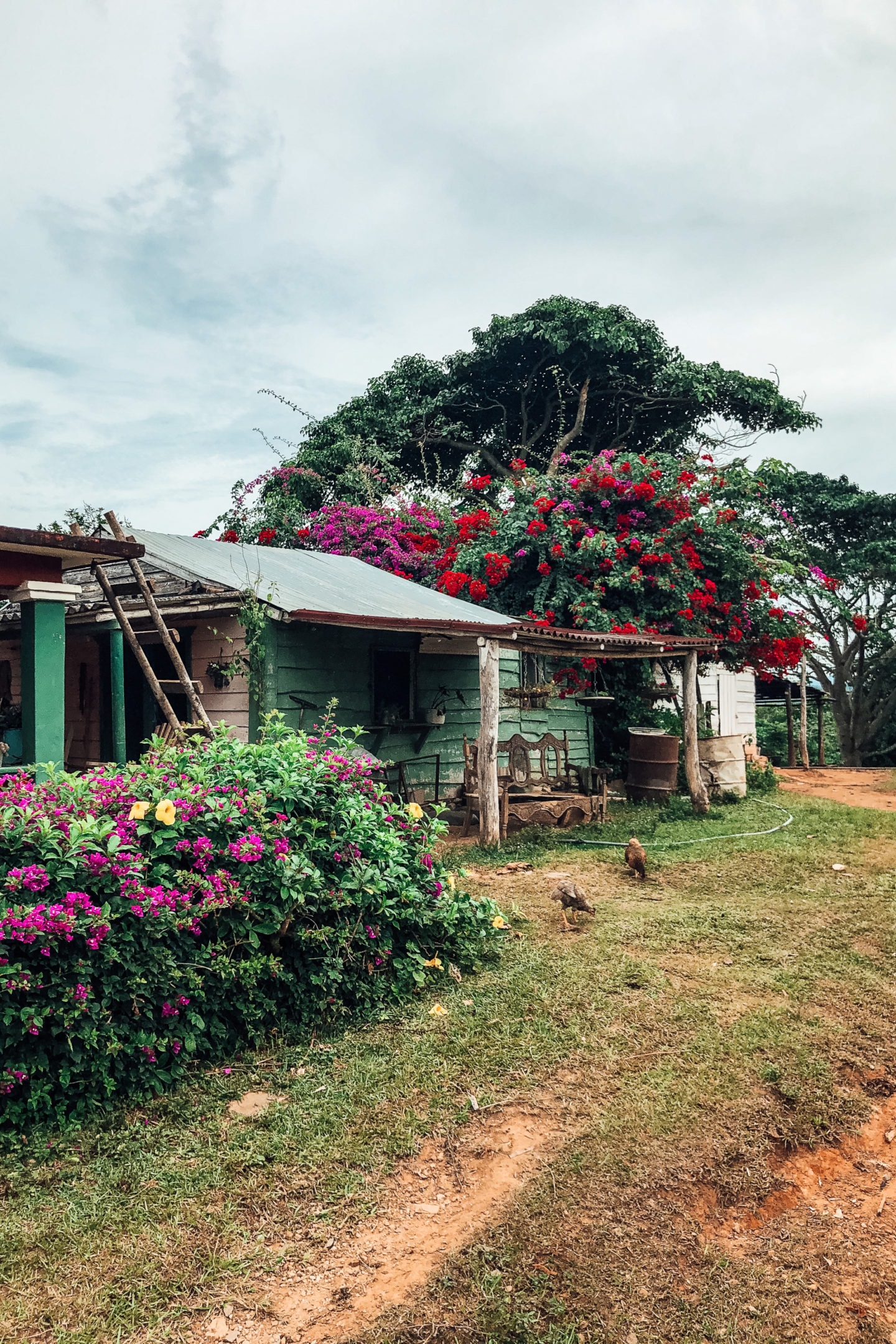 vinales cuba