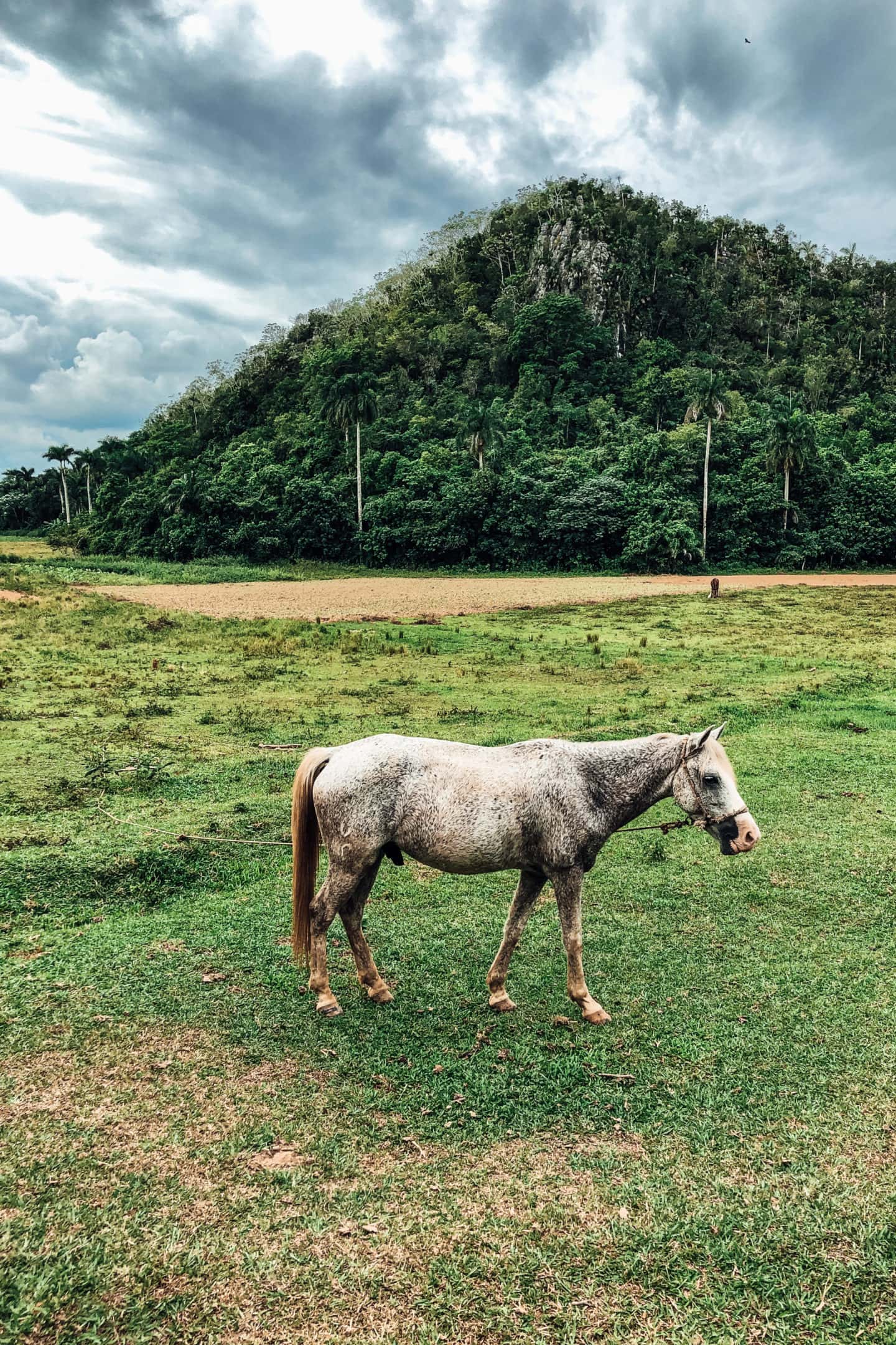 vinales cuba