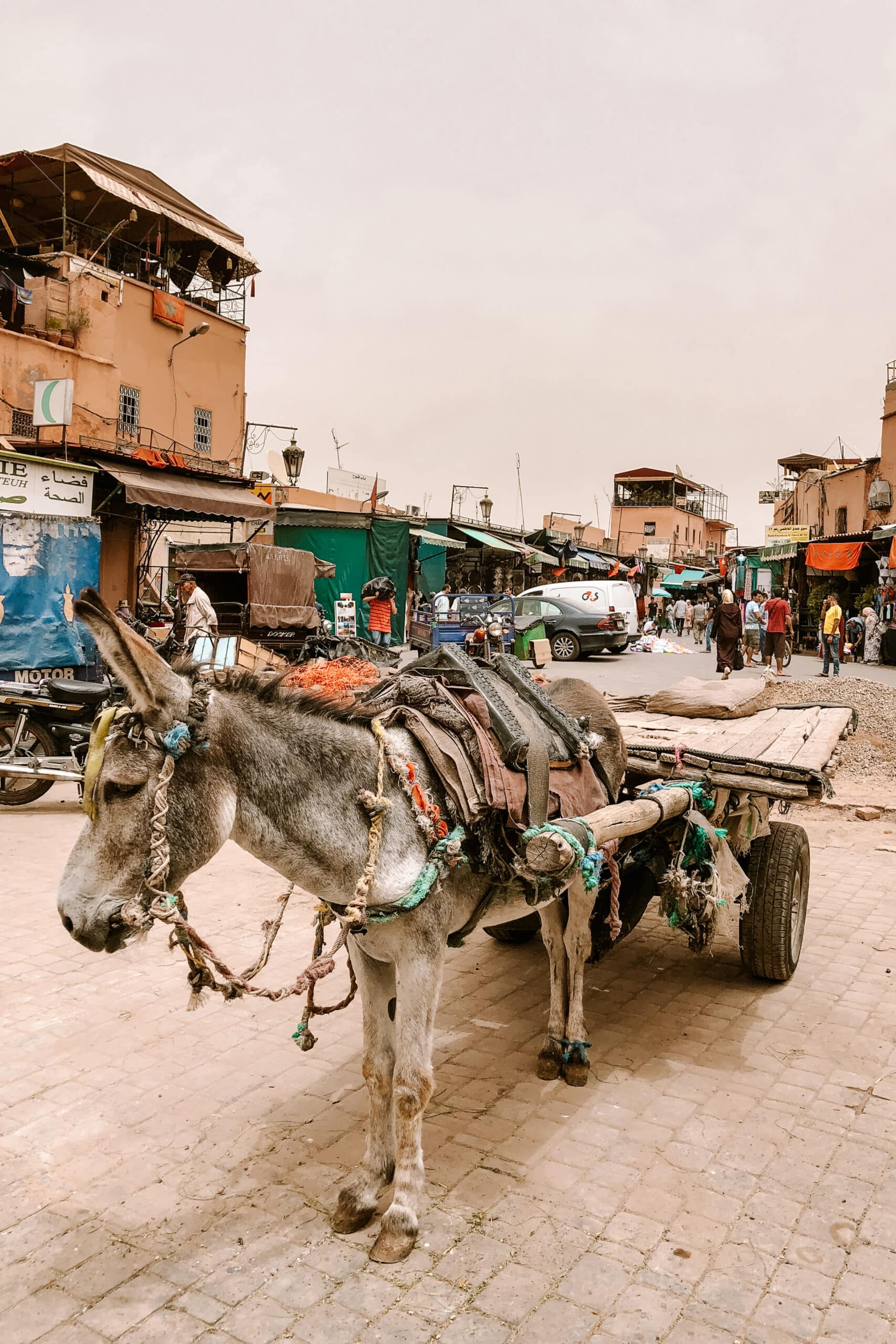 marrakesh morocco