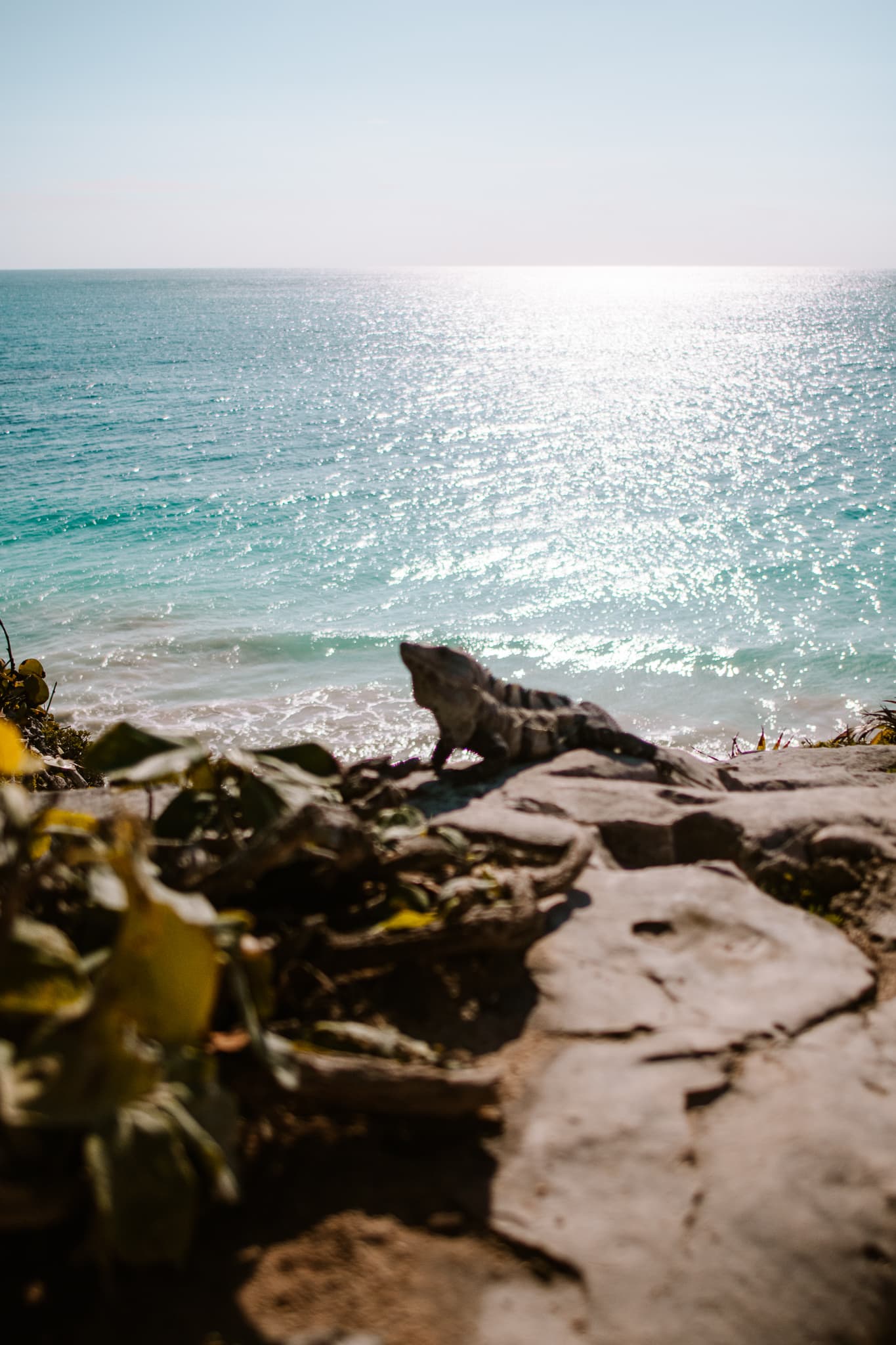 mexico tulum