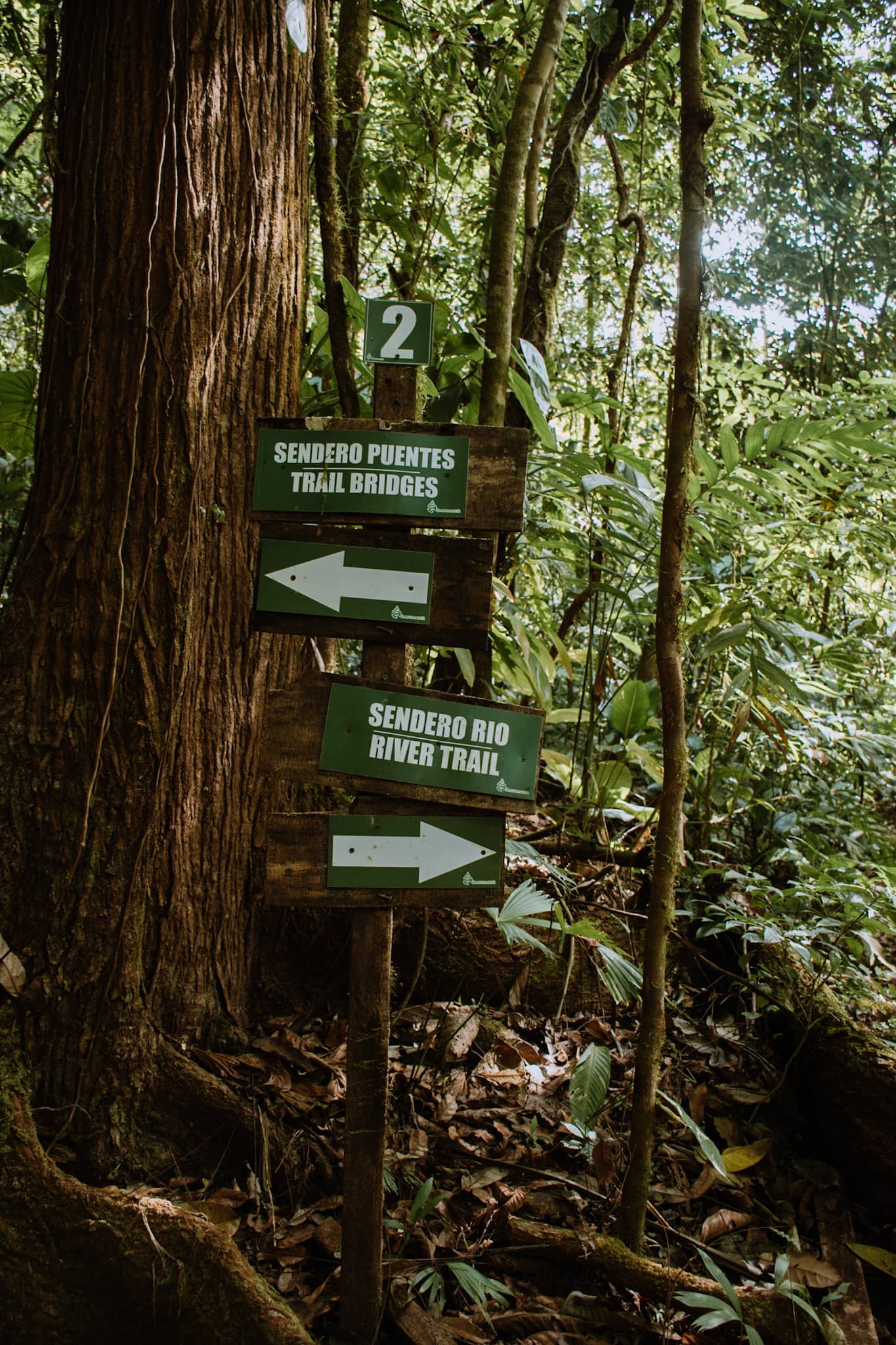 manuel antonio national park costa rica