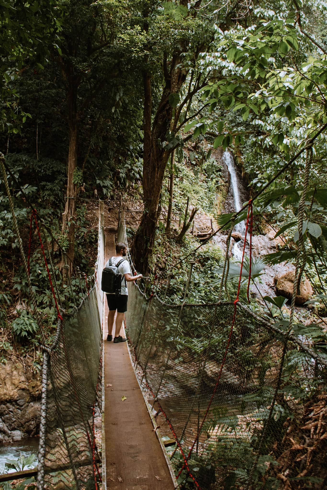 manuel antonio national park costa rica