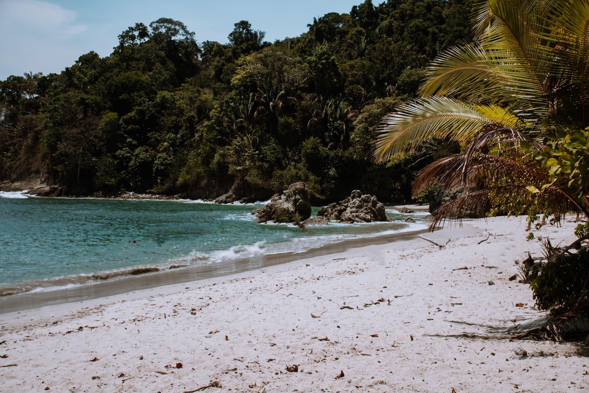 manuel antonio national park costa rica