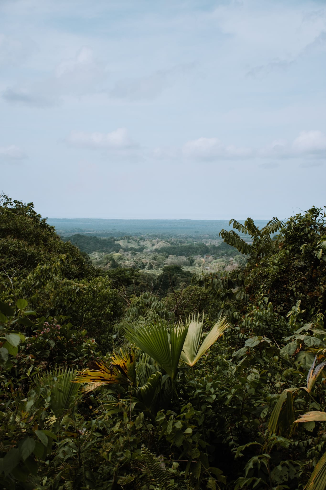 manuel antonio national park costa rica