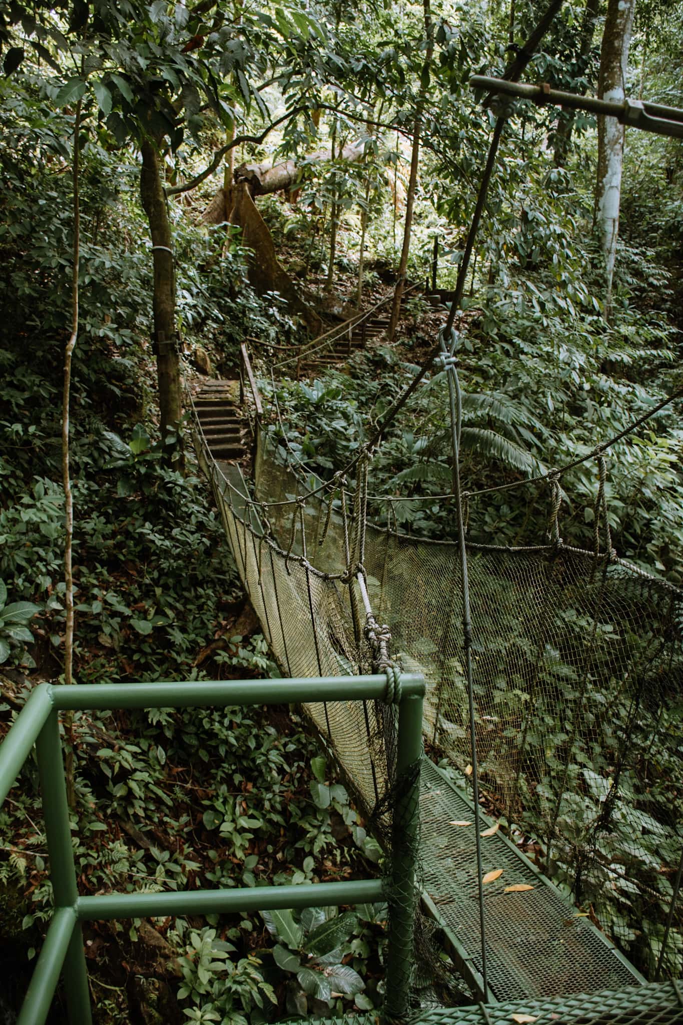 manuel antonio national park costa rica