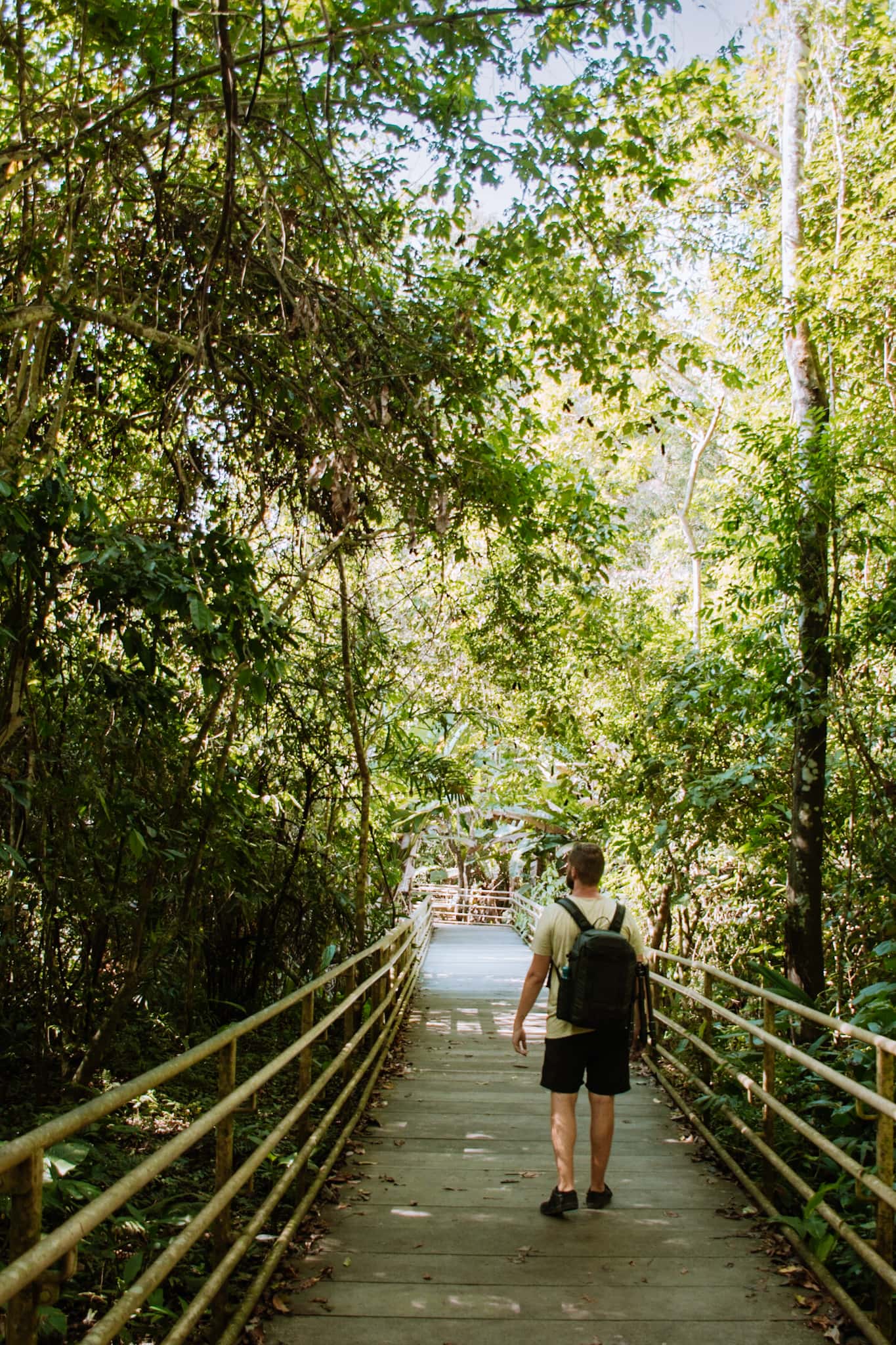 manuel antonio national park costa rica