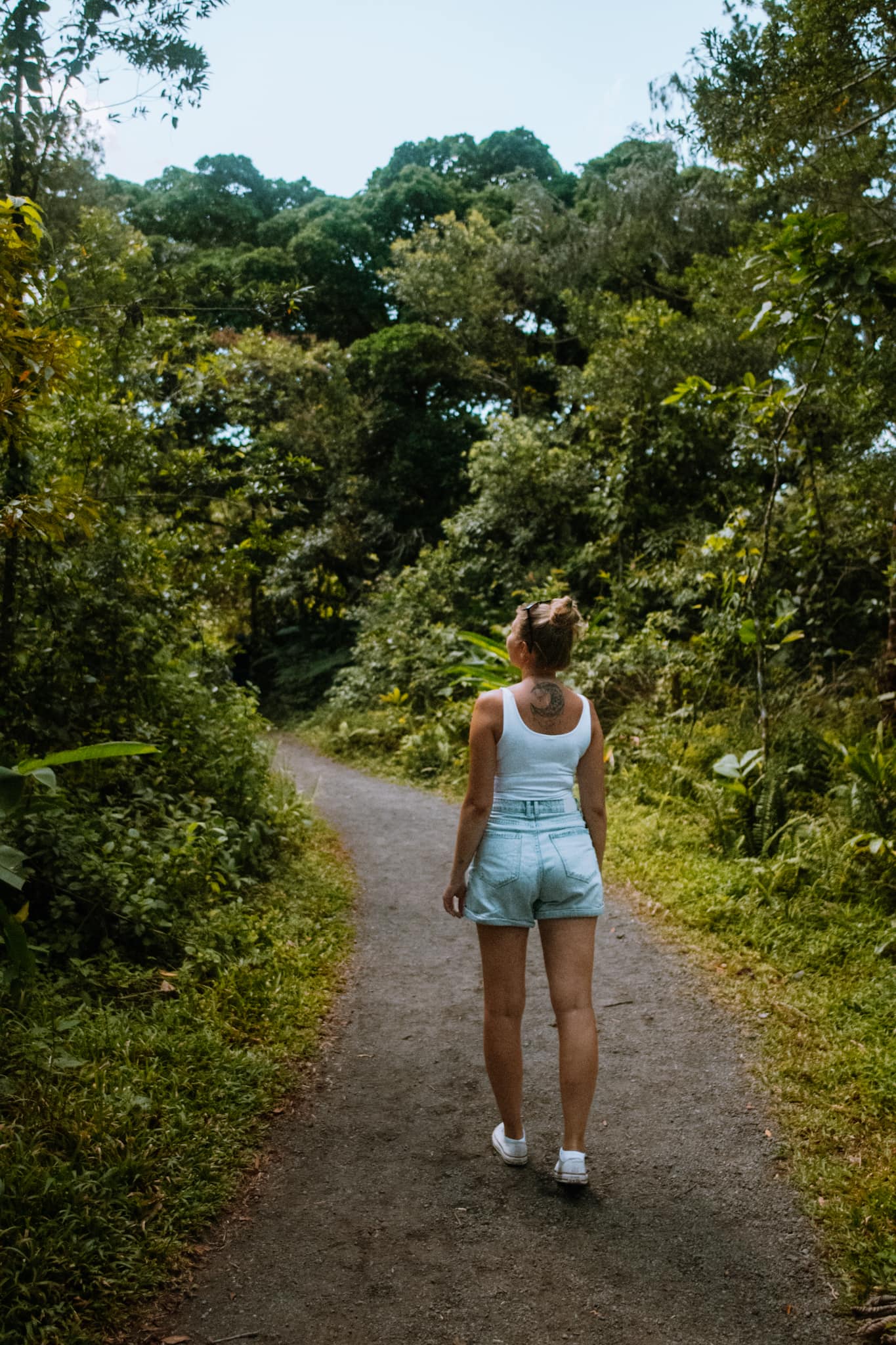 la fortuna costa rica