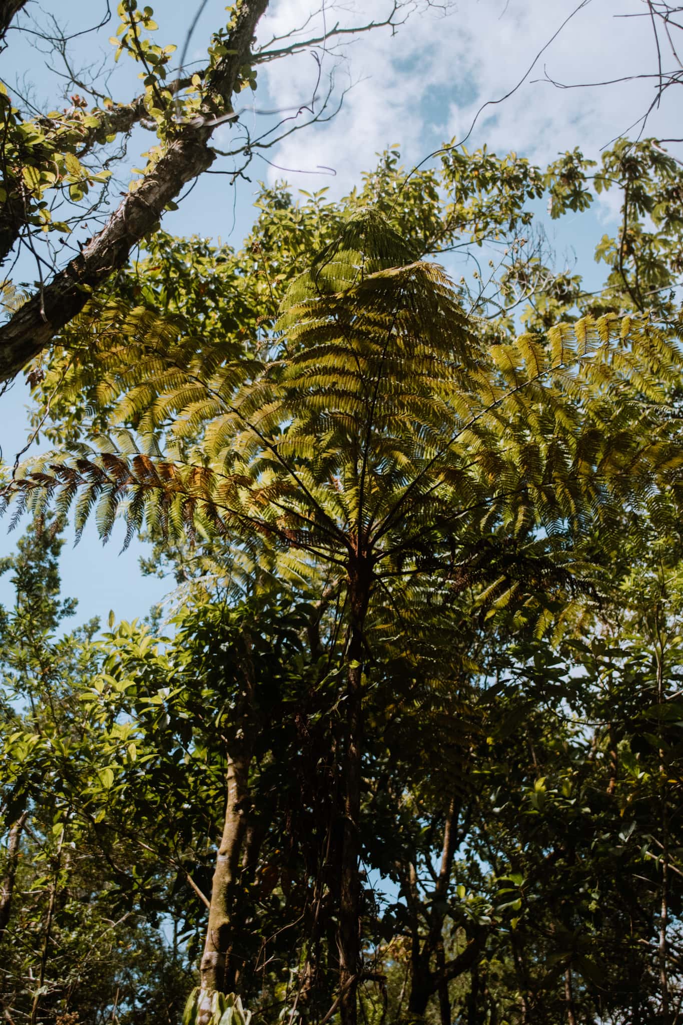 la fortuna costa rica