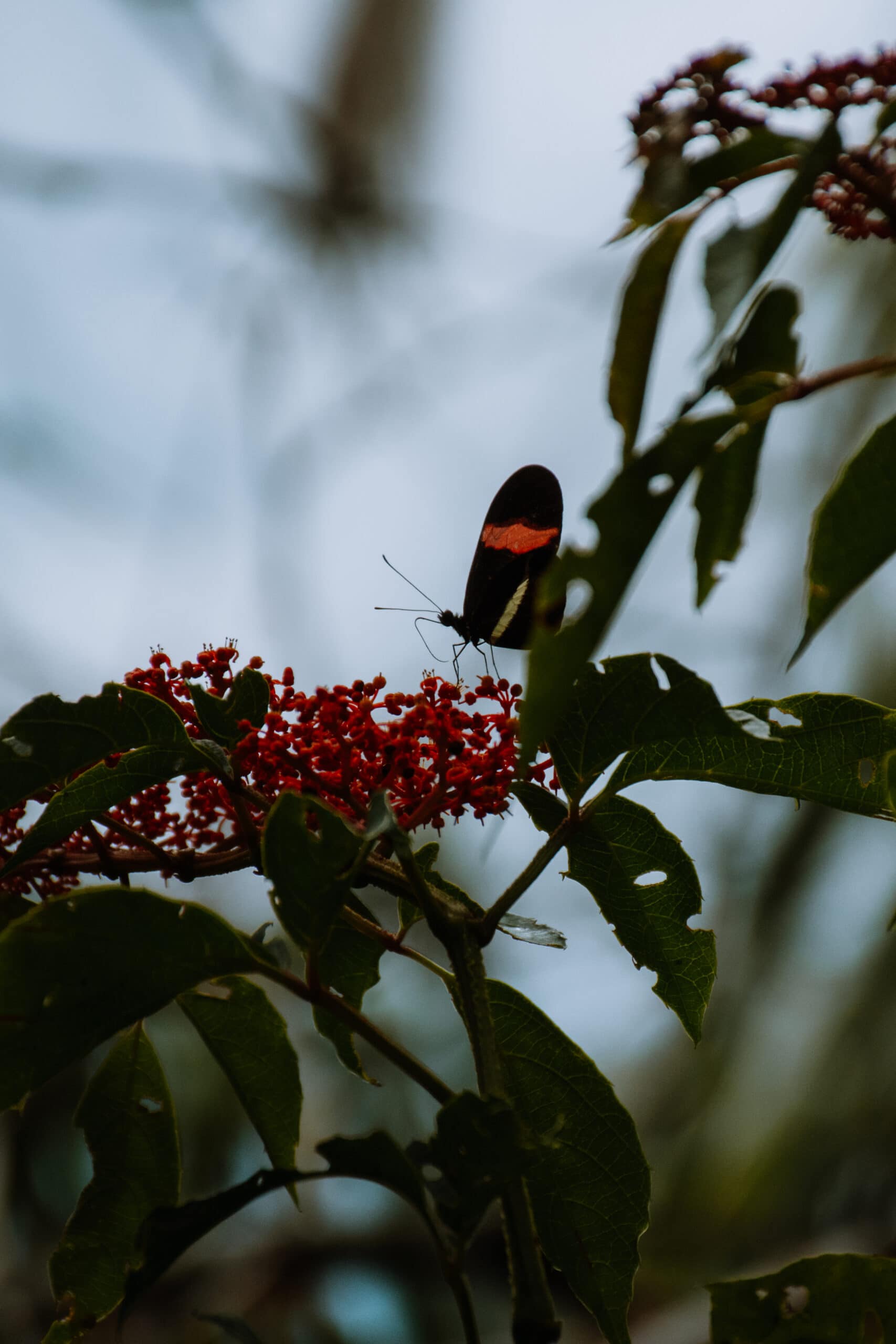 la fortuna costa rica