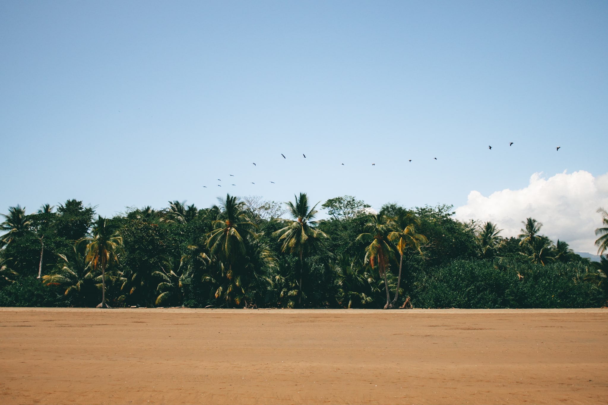 uvita costa rica