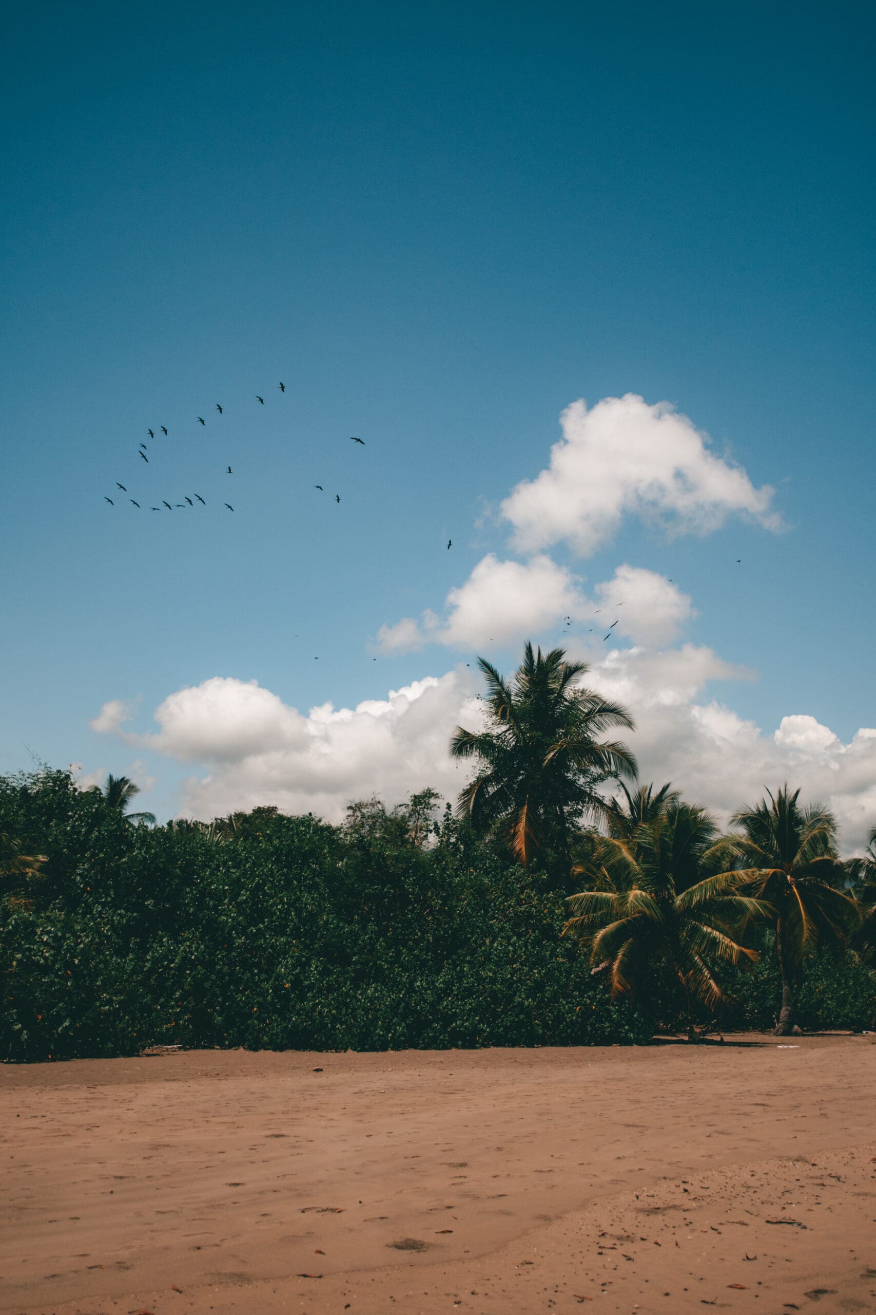 uvita costa rica