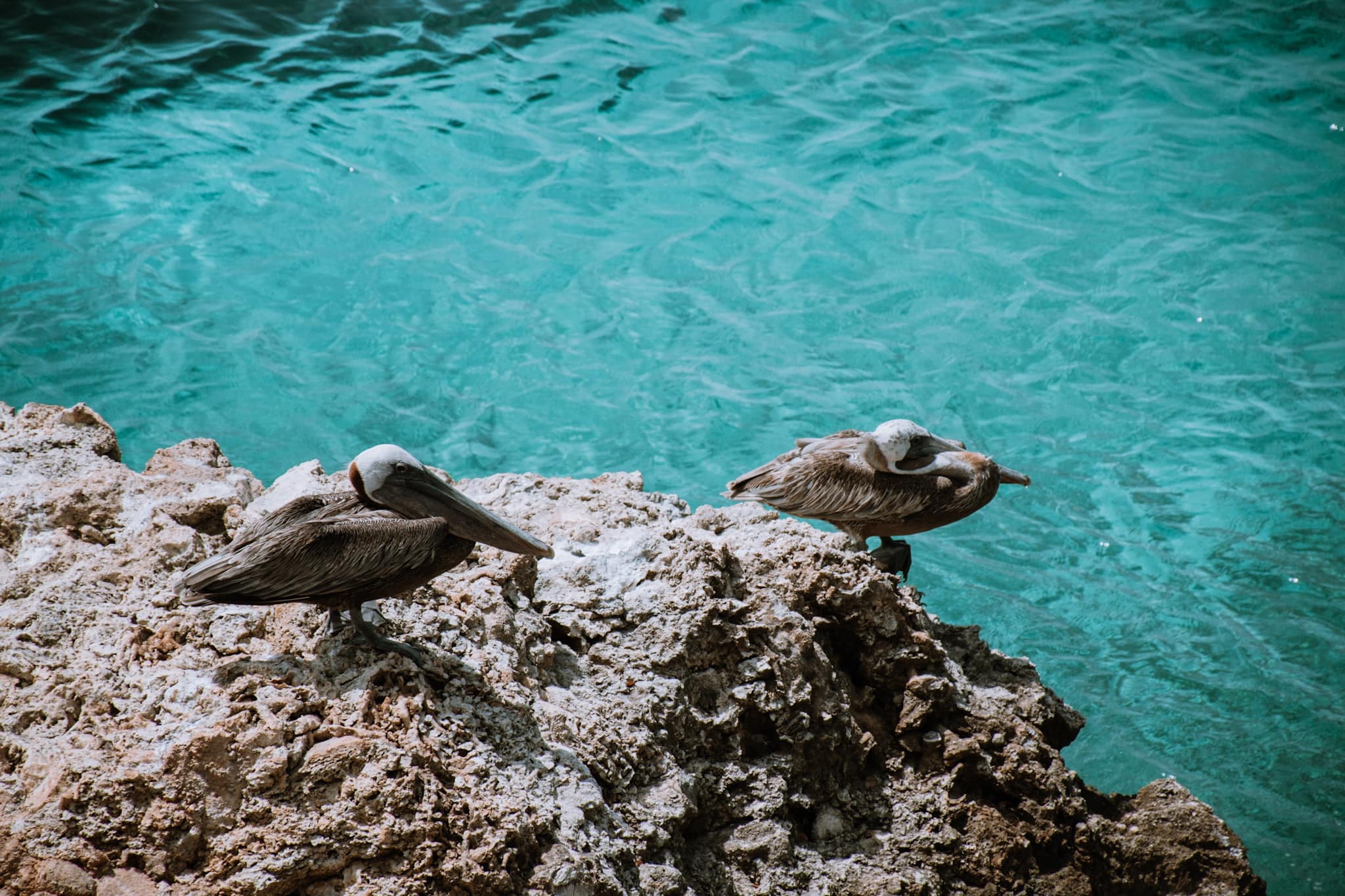 curacao beaches abc islands caribbean