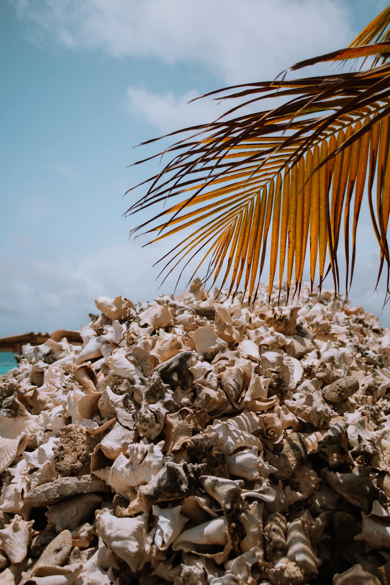 bonaire abc islands caribbean