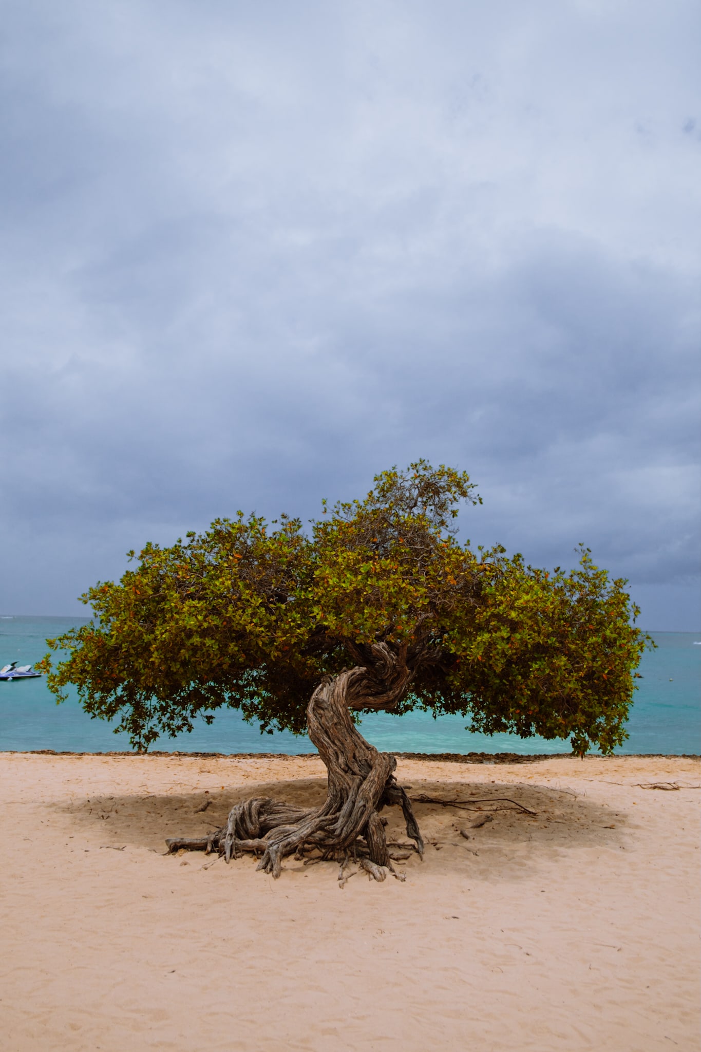 aruba abc islands caribbean