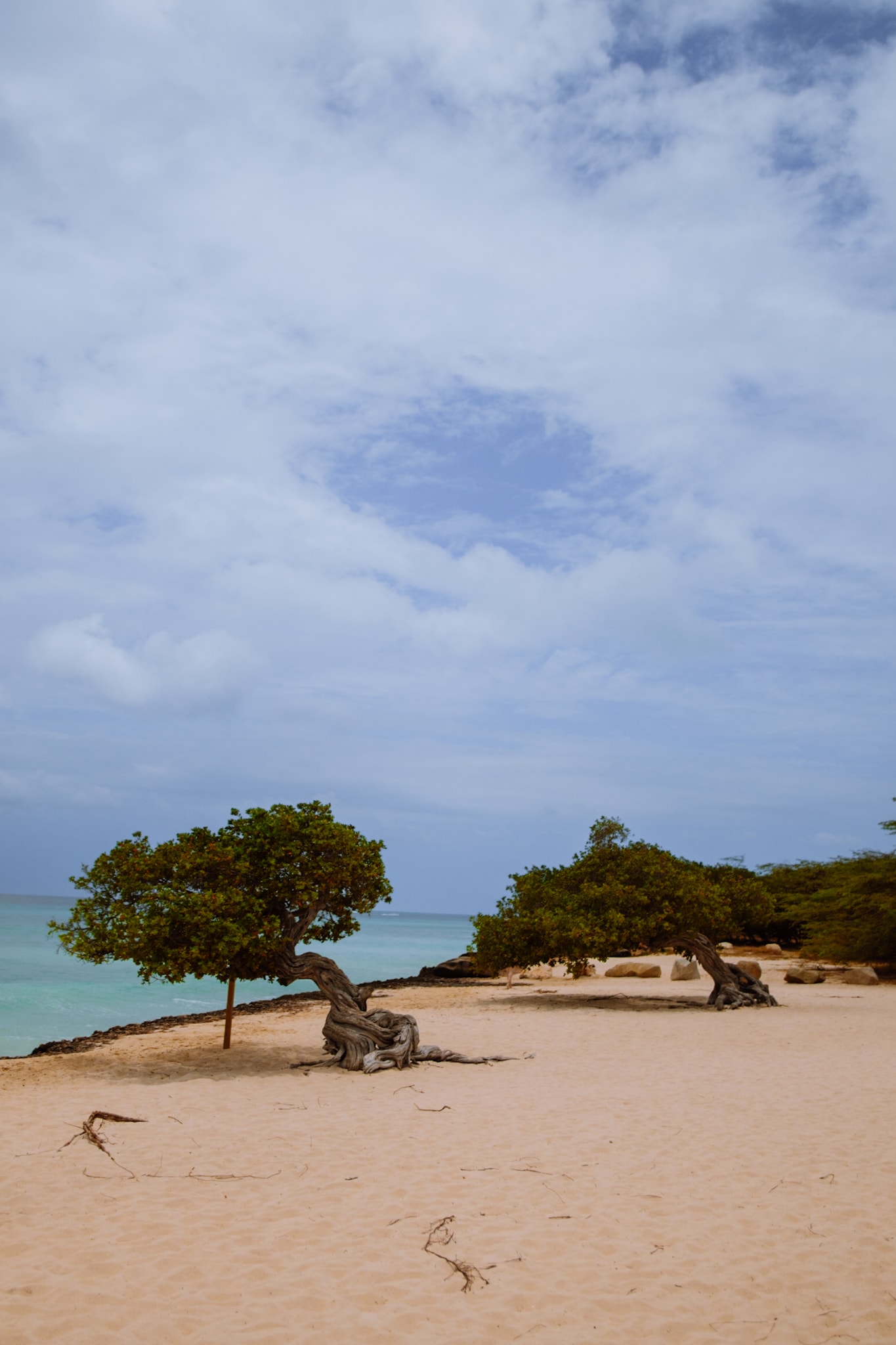 aruba abc islands caribbean