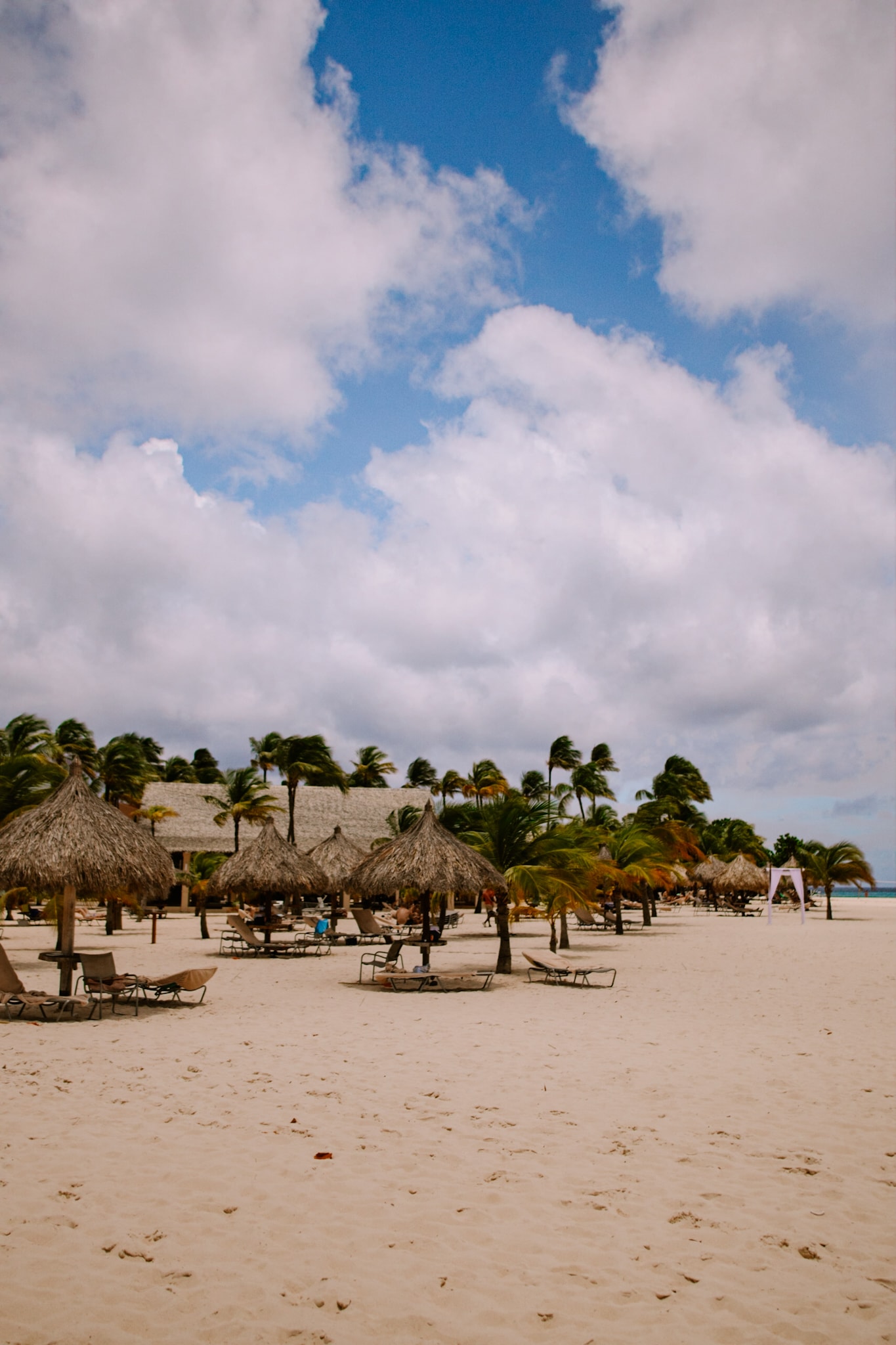 aruba abc islands caribbean