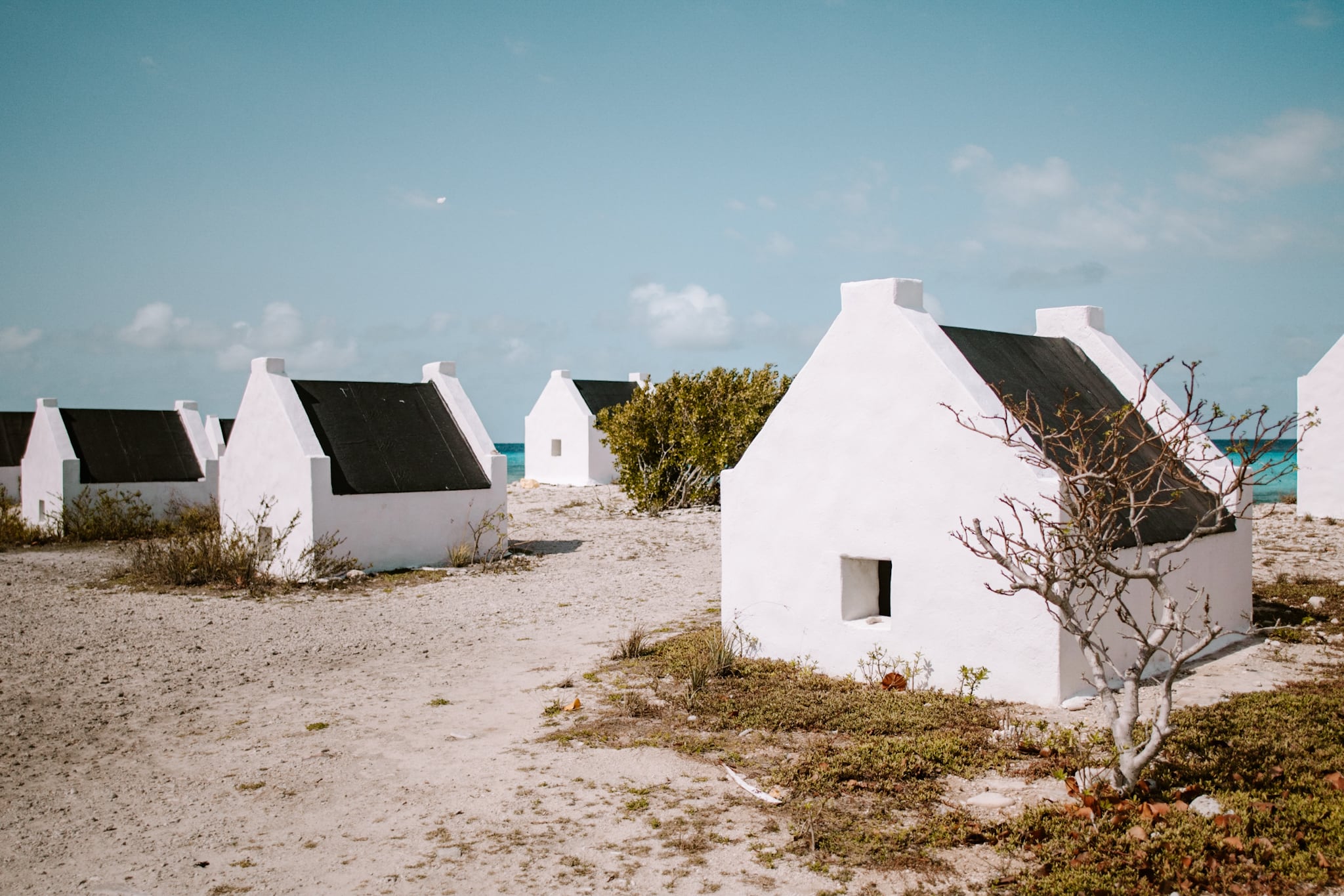 bonaire abc islands caribbean