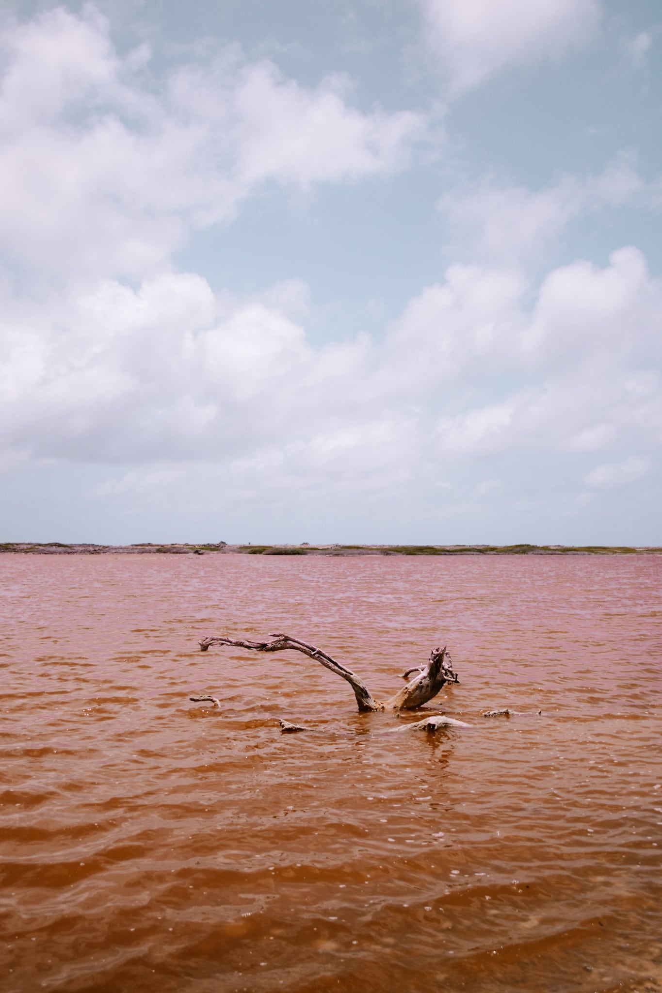 bonaire abc islands caribbean