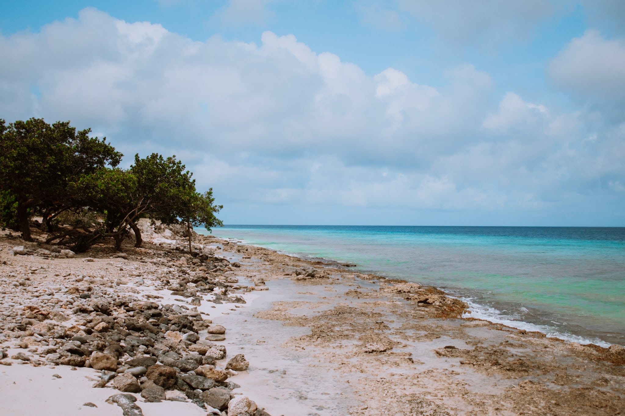 bonaire abc islands caribbean