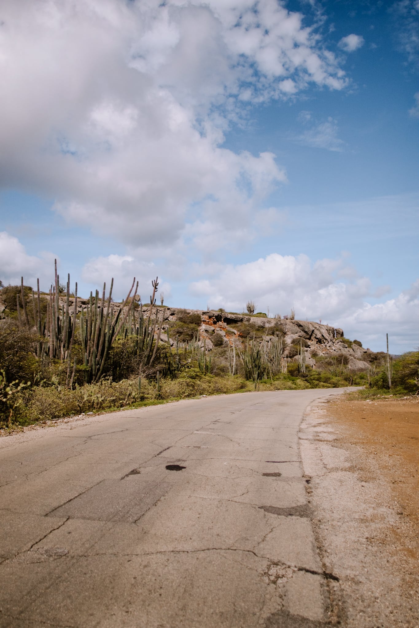 bonaire abc islands caribbean