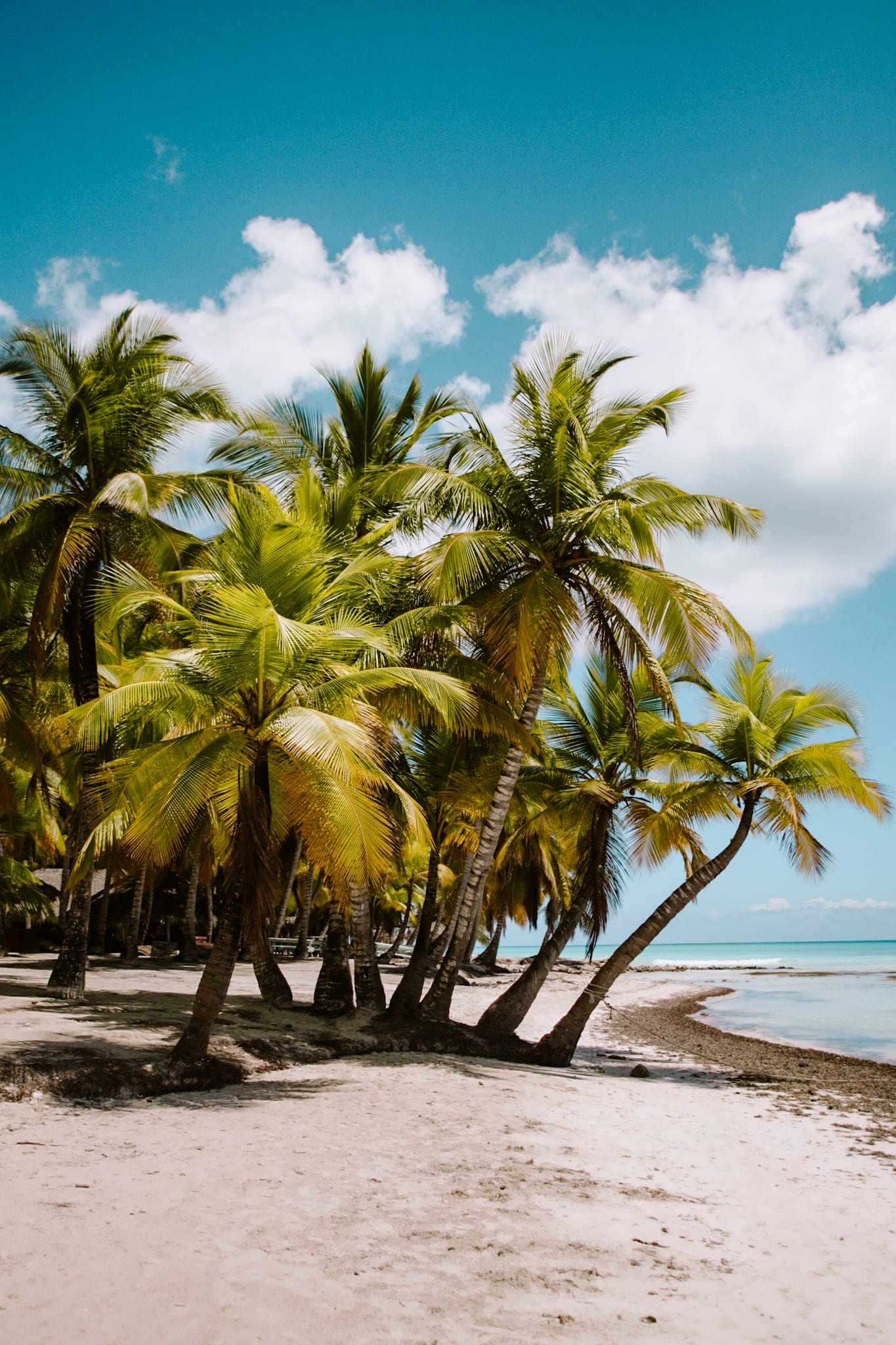 bayahibe isla saona dominican republic dom rep