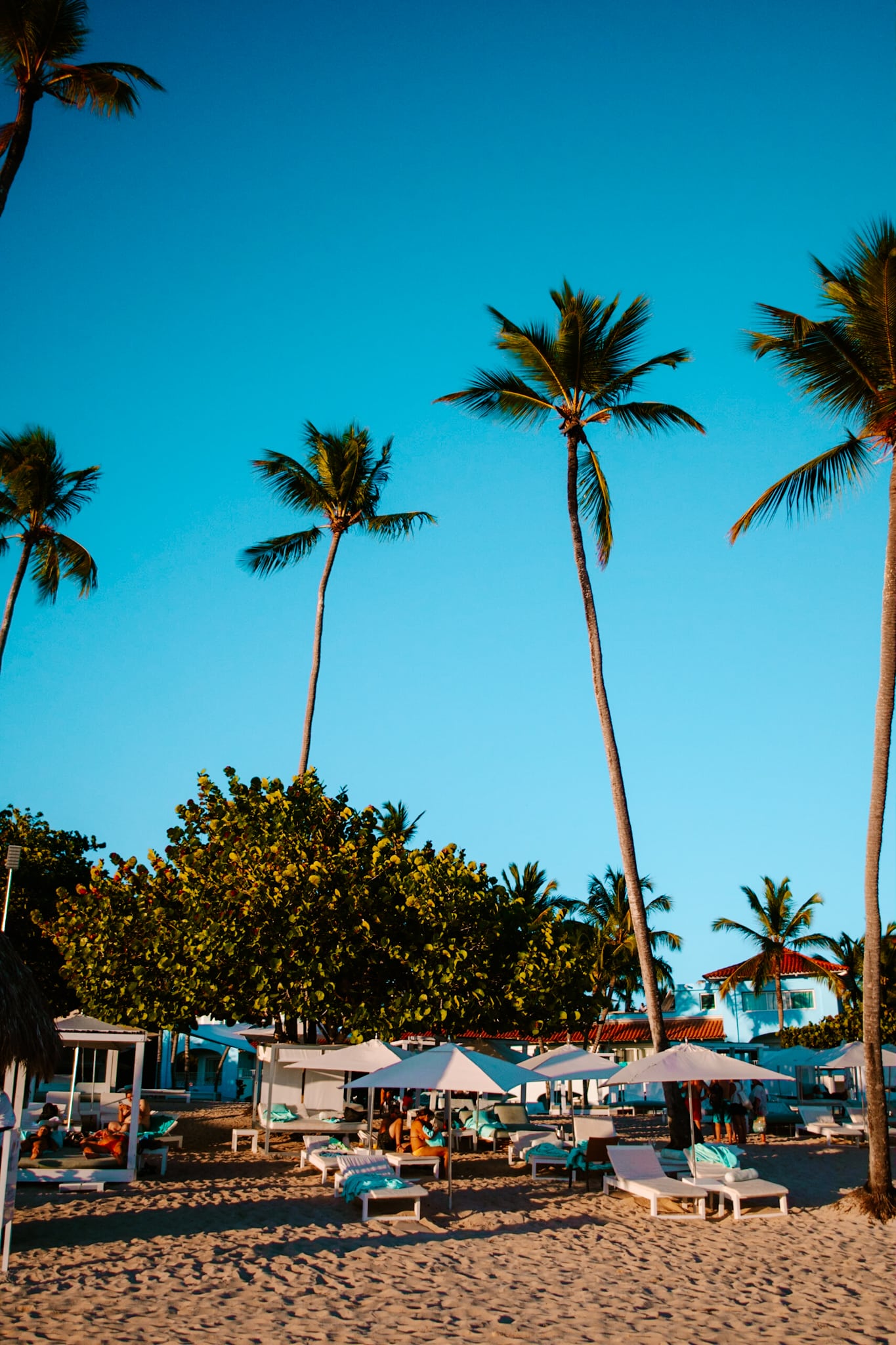 bayahibe isla saona dominican republic dom rep