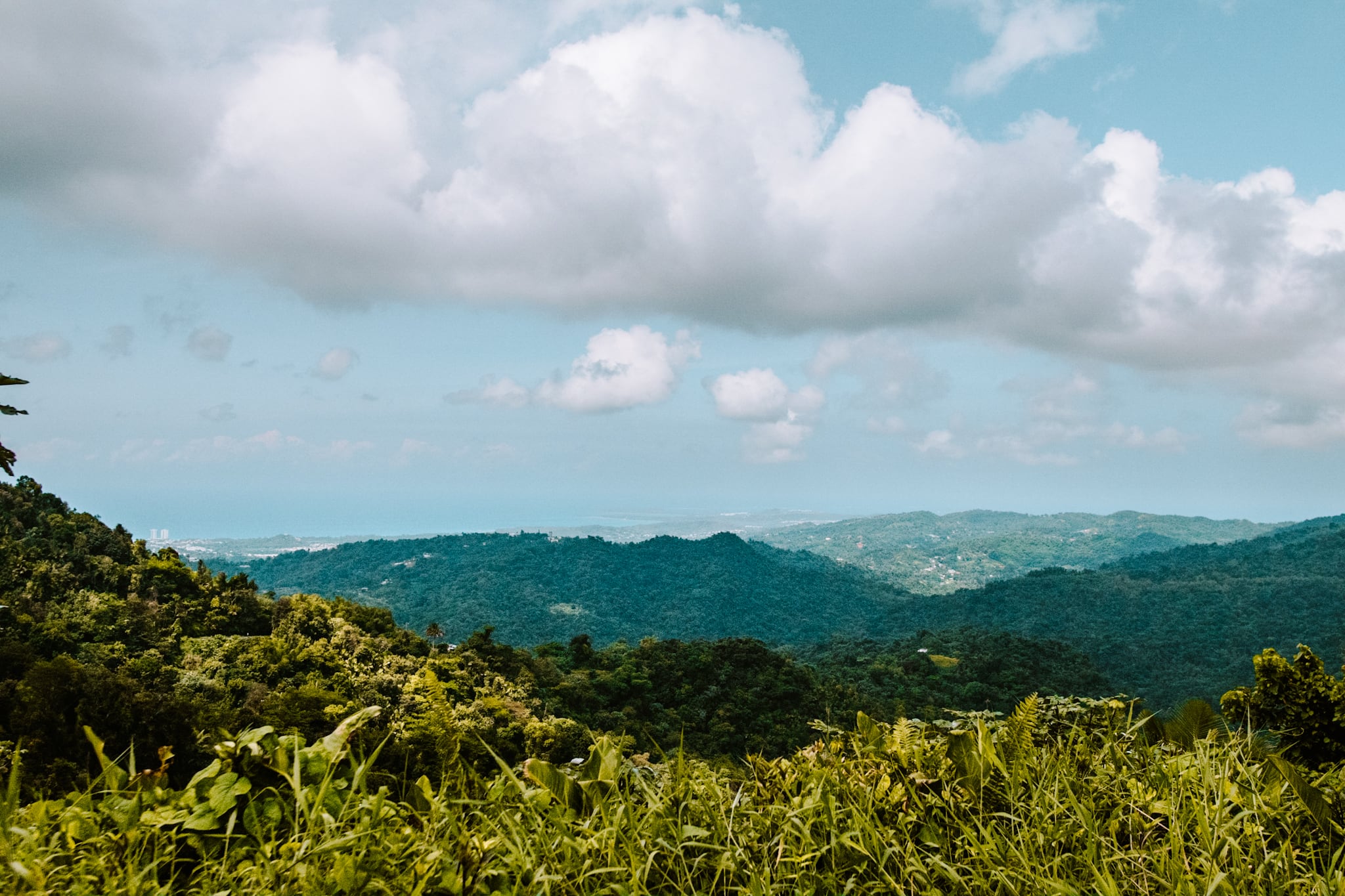 puerto rico el yunque national forest