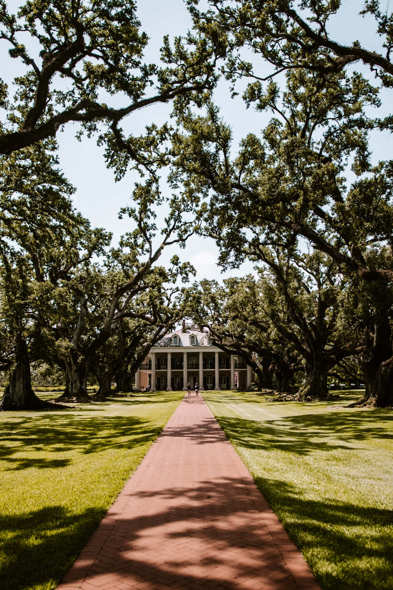 oak alley plantation new orleans louisiana usa united states of america