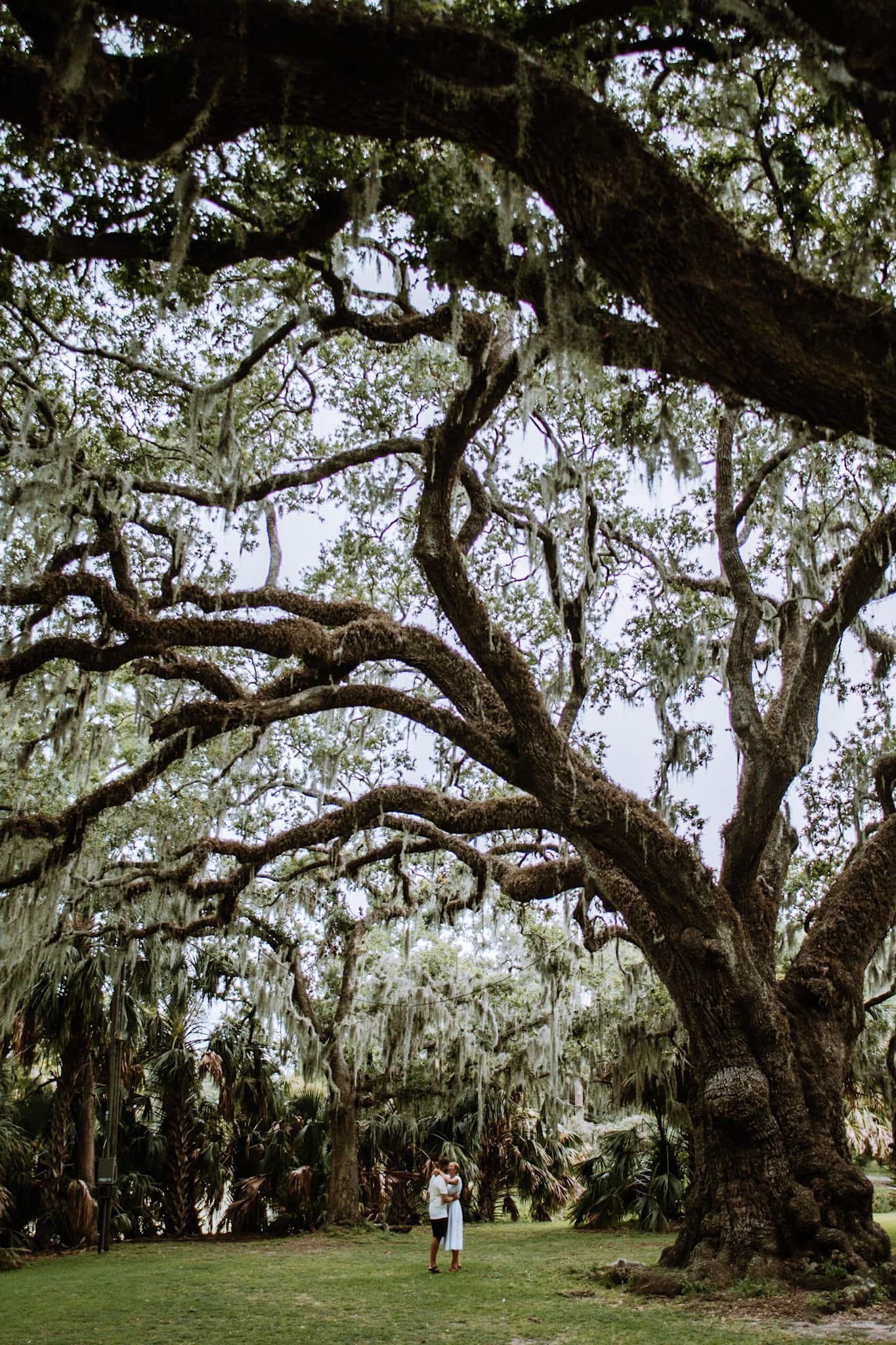 new orleans city park usa united states of america