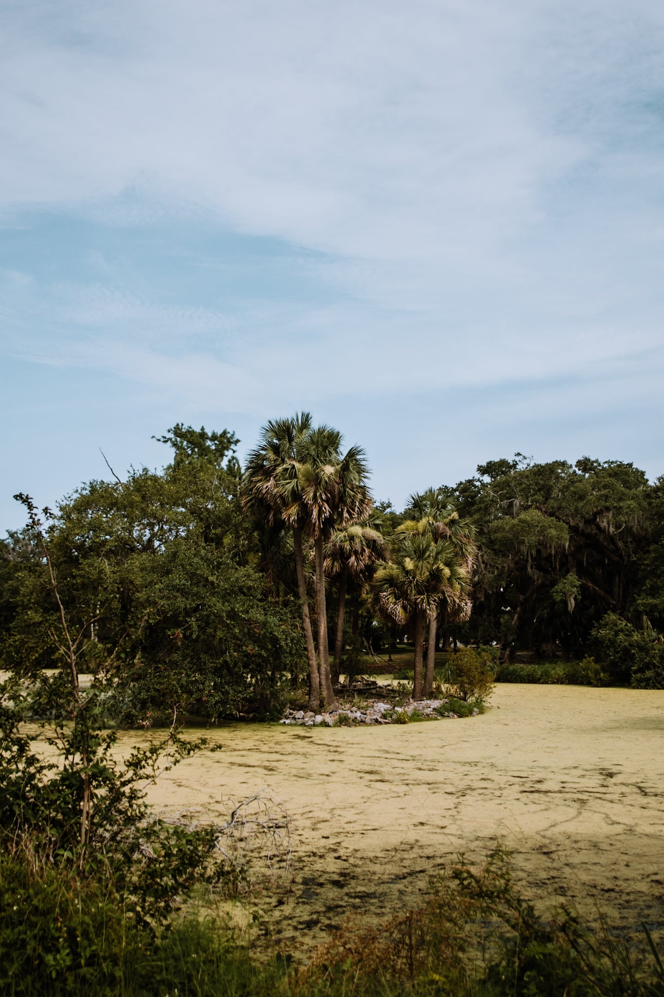 new orleans city park usa united states of america