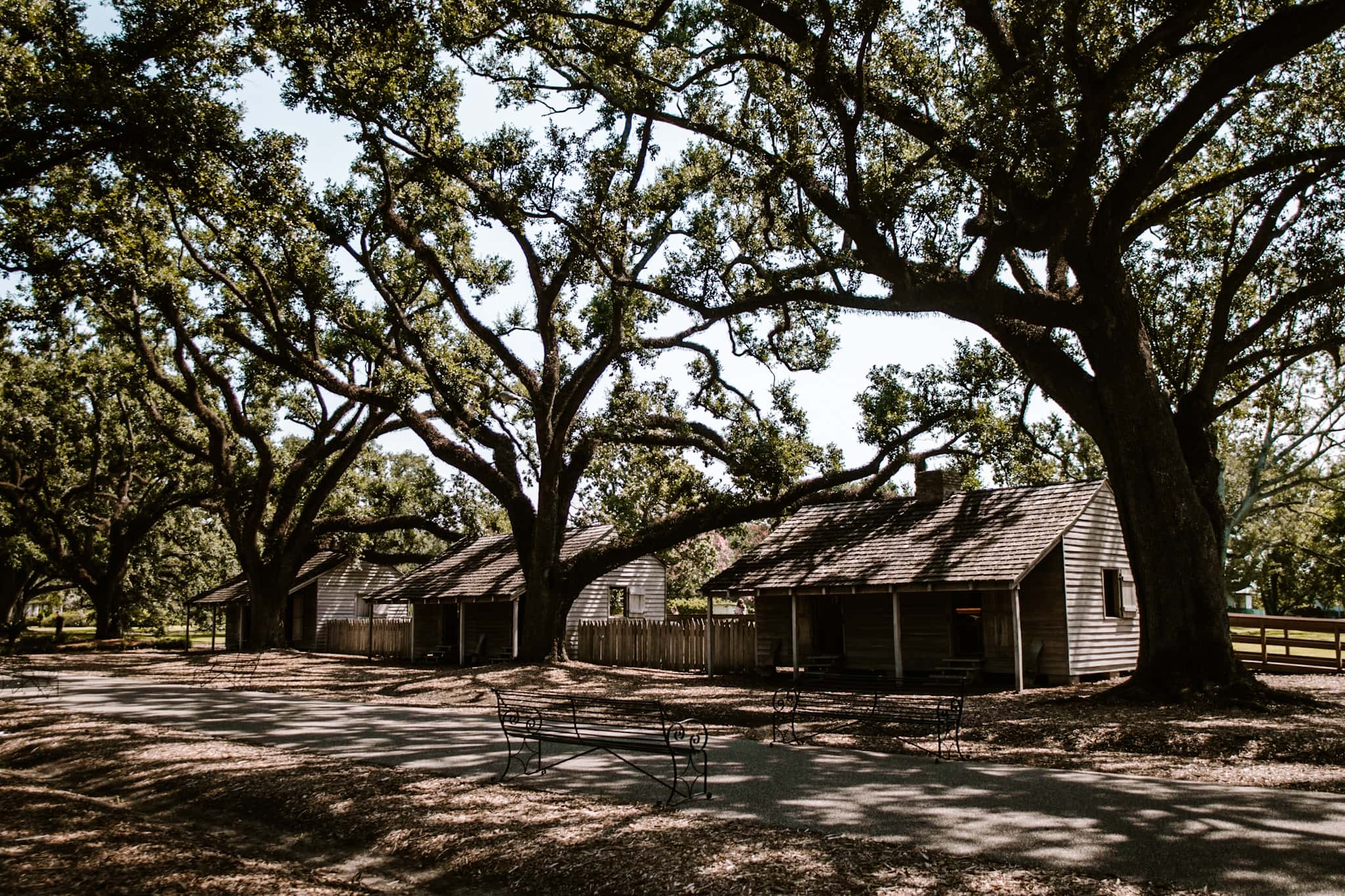 oak alley plantation new orleans louisiana usa united states of america