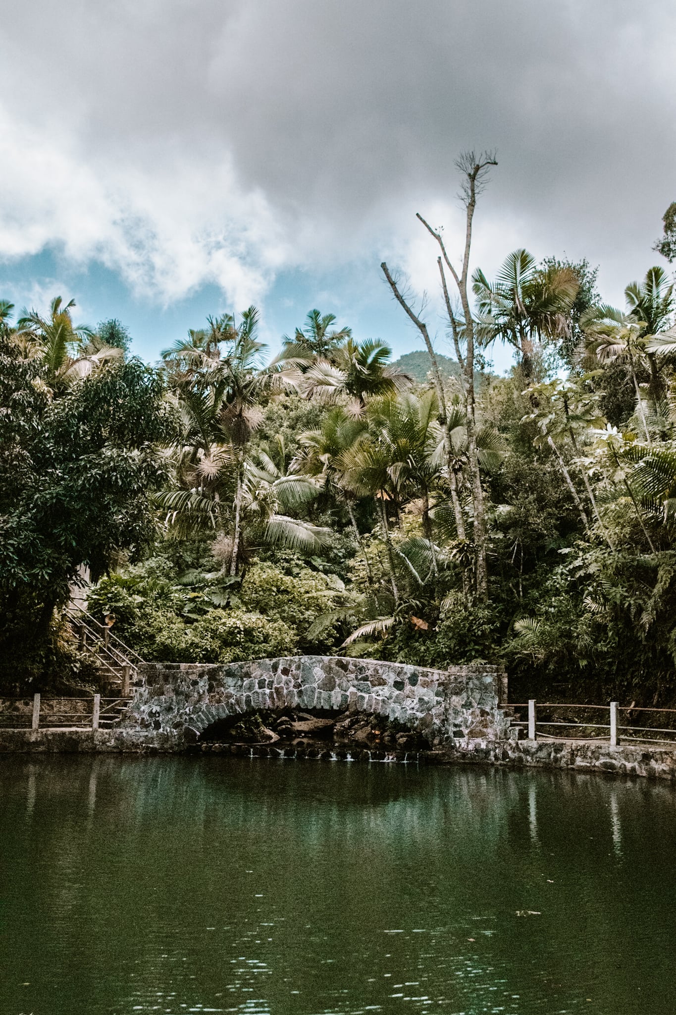 puerto rico el yunque national forest