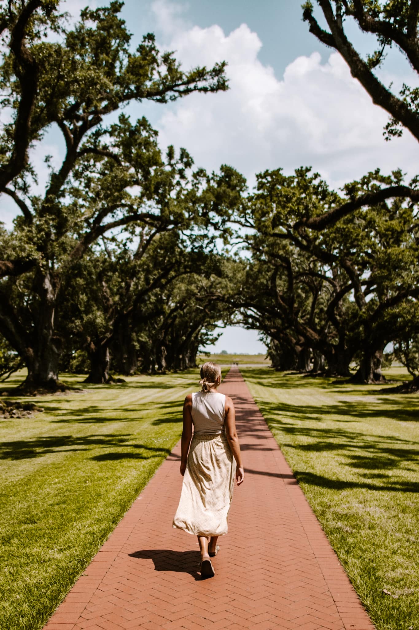 oak alley plantation new orleans louisiana usa united states of america