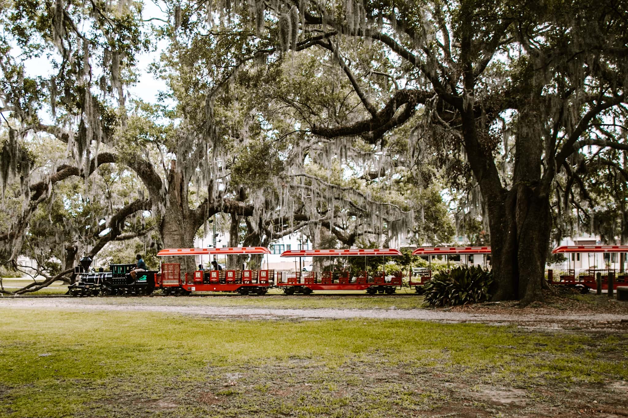 new orleans city park usa united states of america