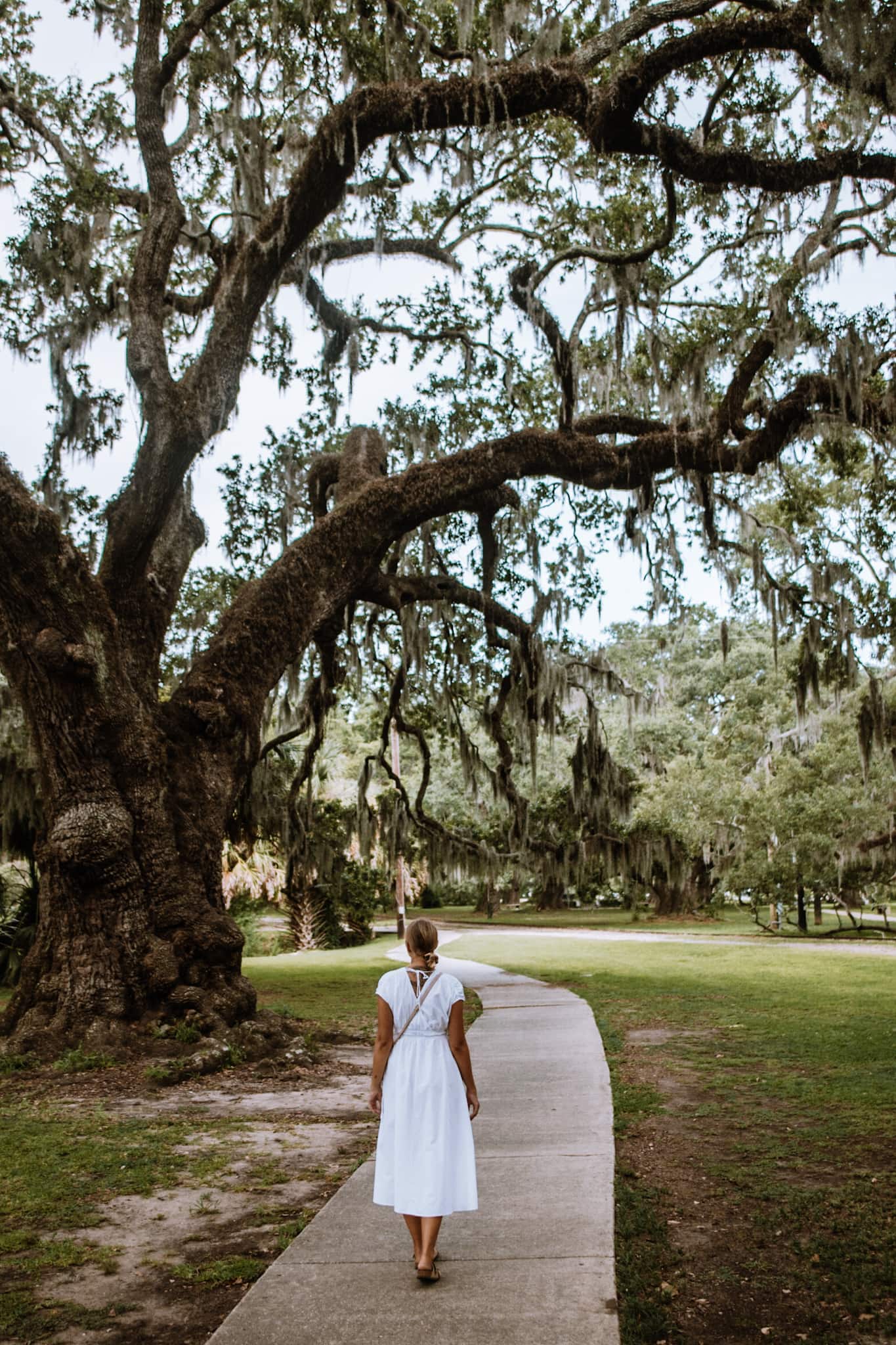 new orleans city park usa united states of america