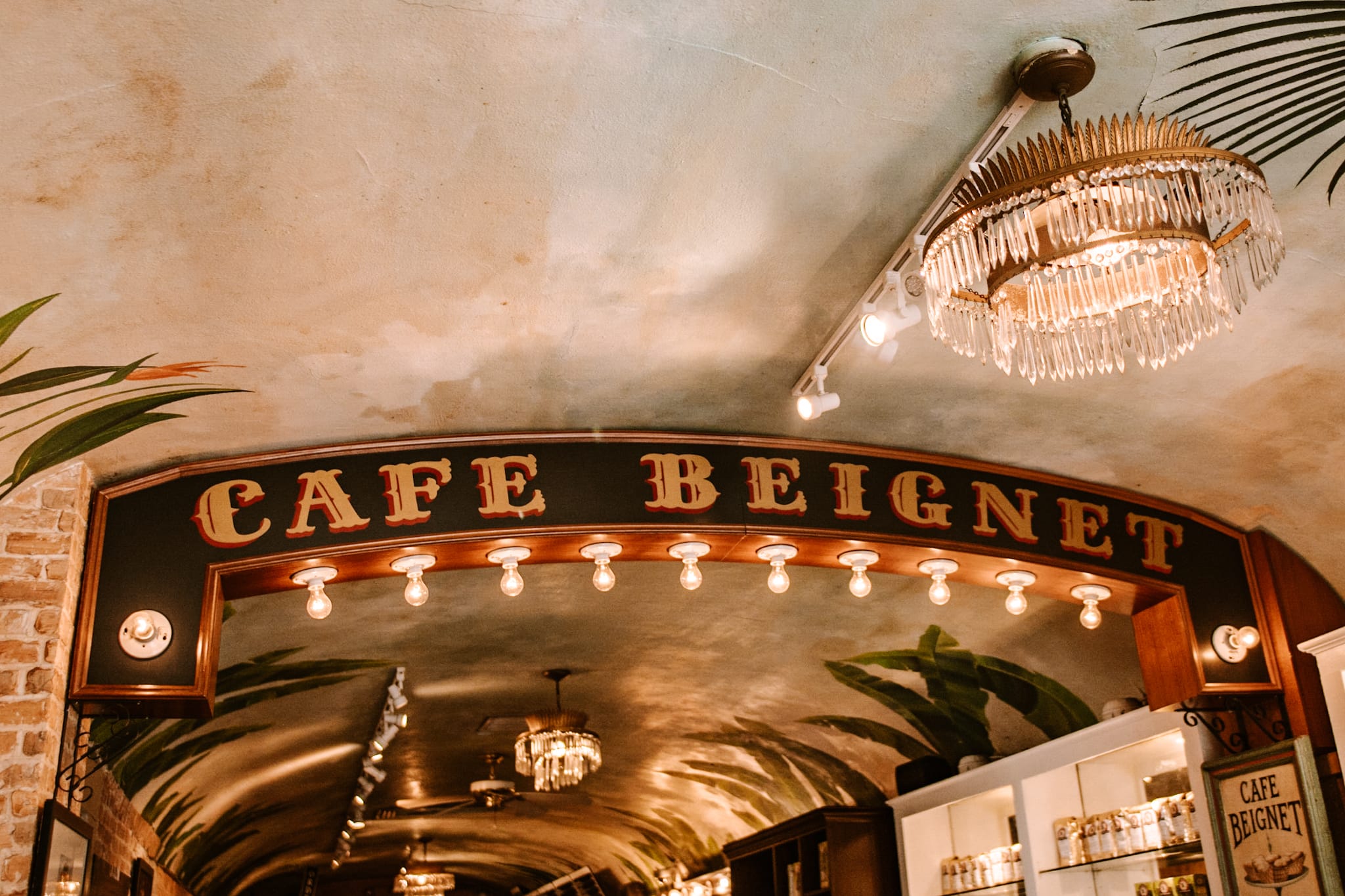 new orleans cafe beignet usa united states of america