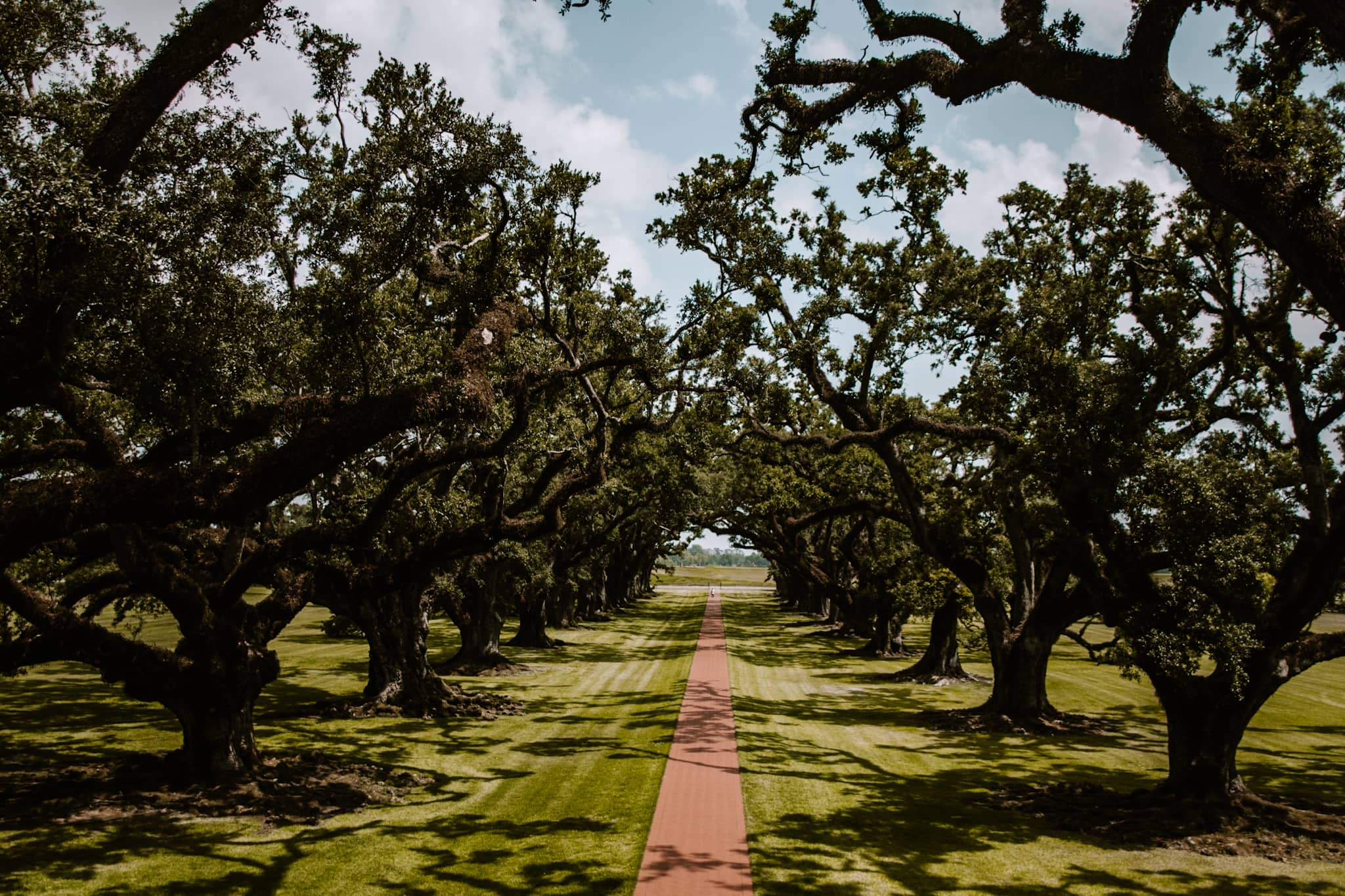 oak alley plantation new orleans louisiana usa united states of america