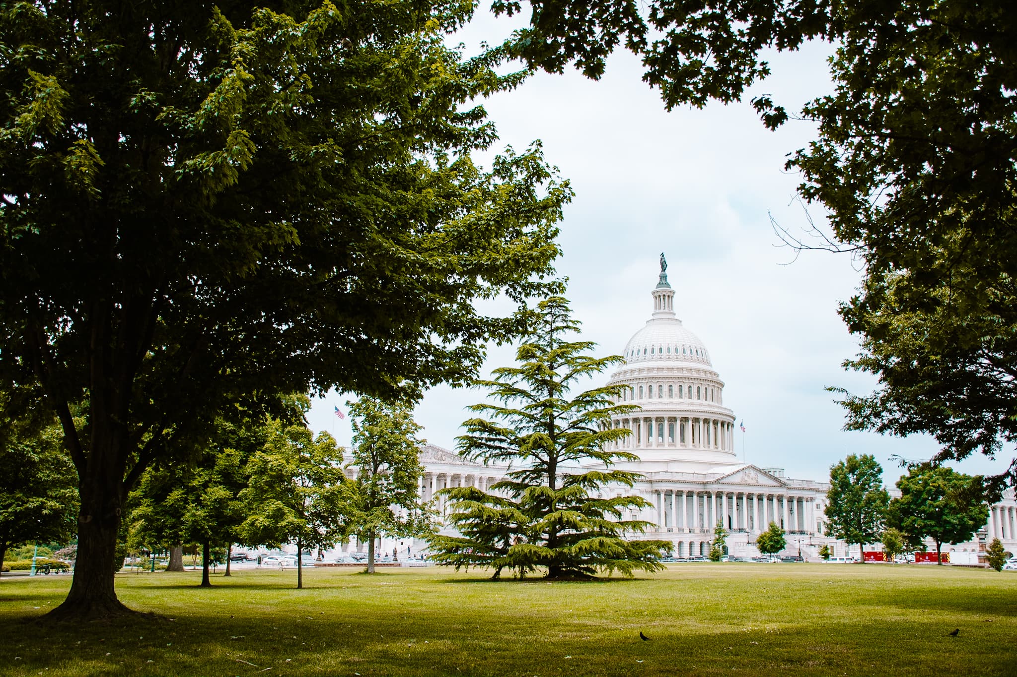 washington dc capitol sightseeing usa united states of america