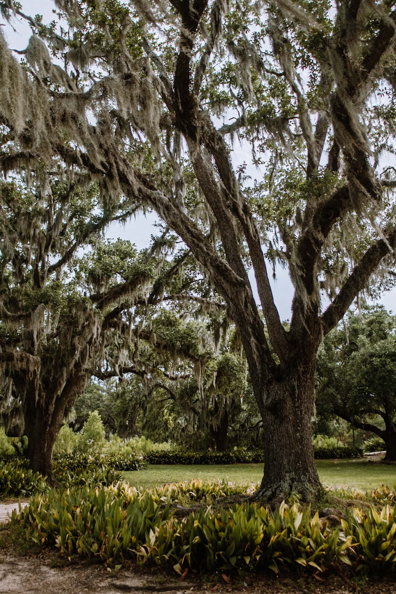 new orleans city park usa united states of america