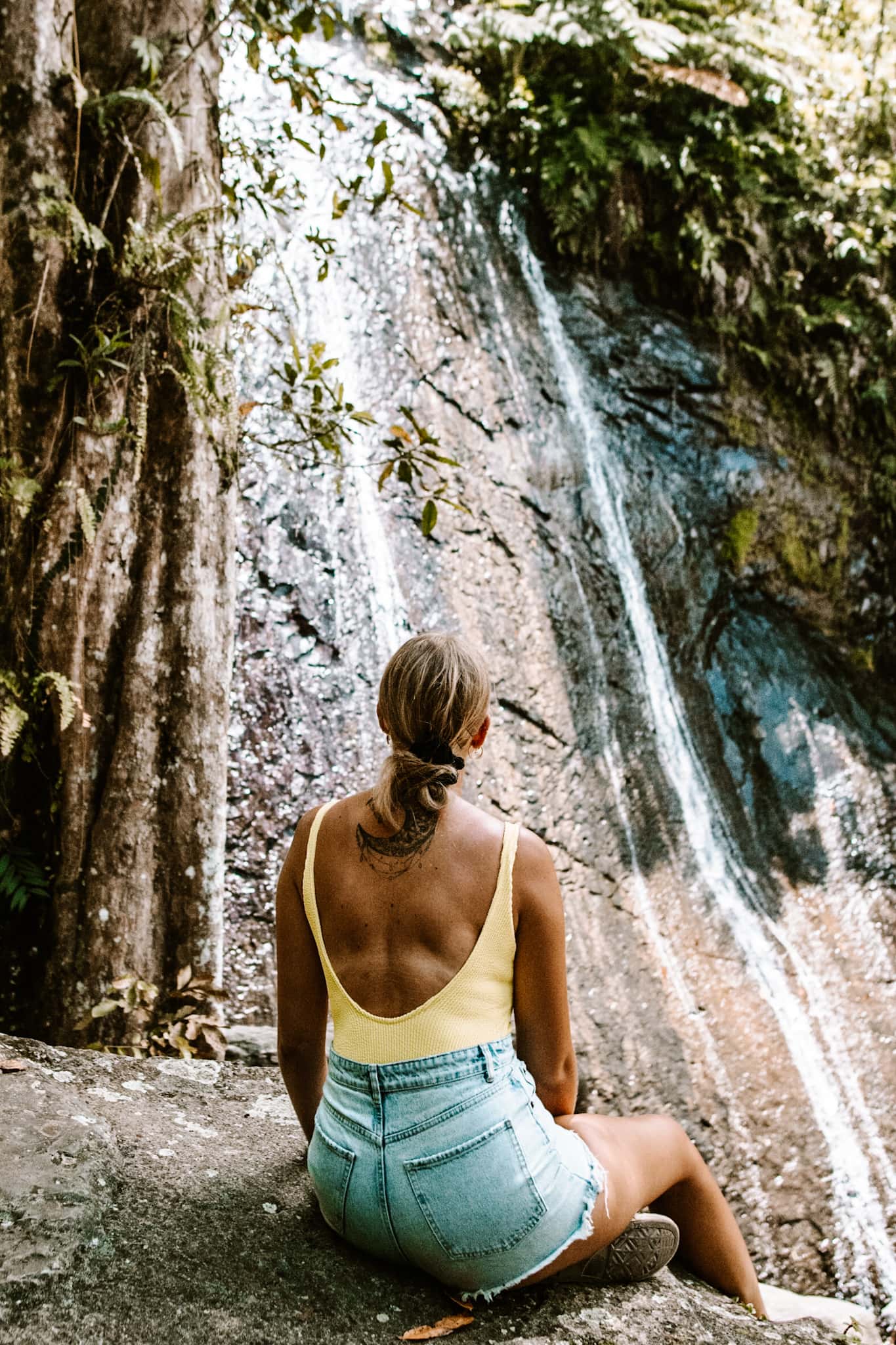 puerto rico el yunque national forest