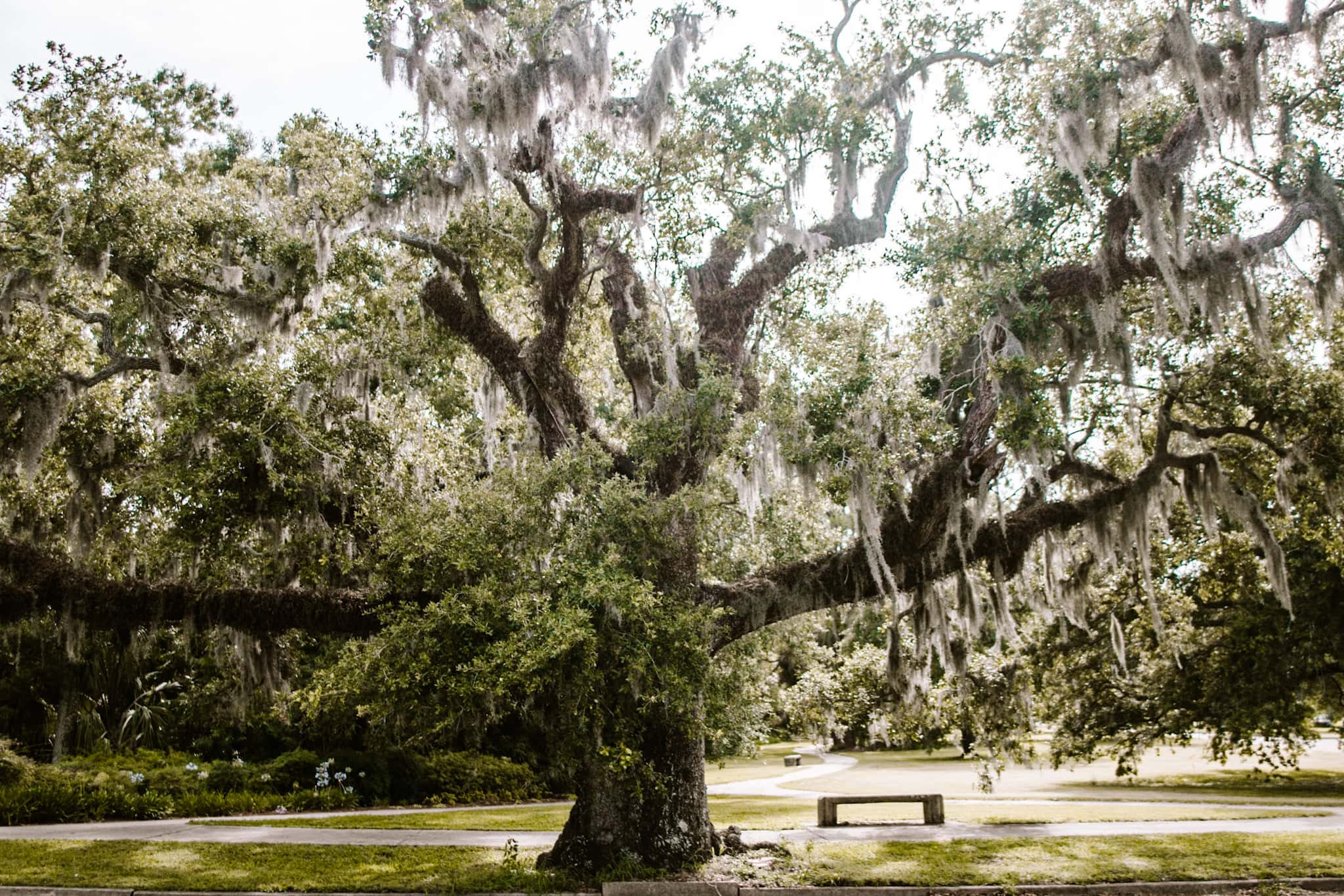 new orleans usa united states of america